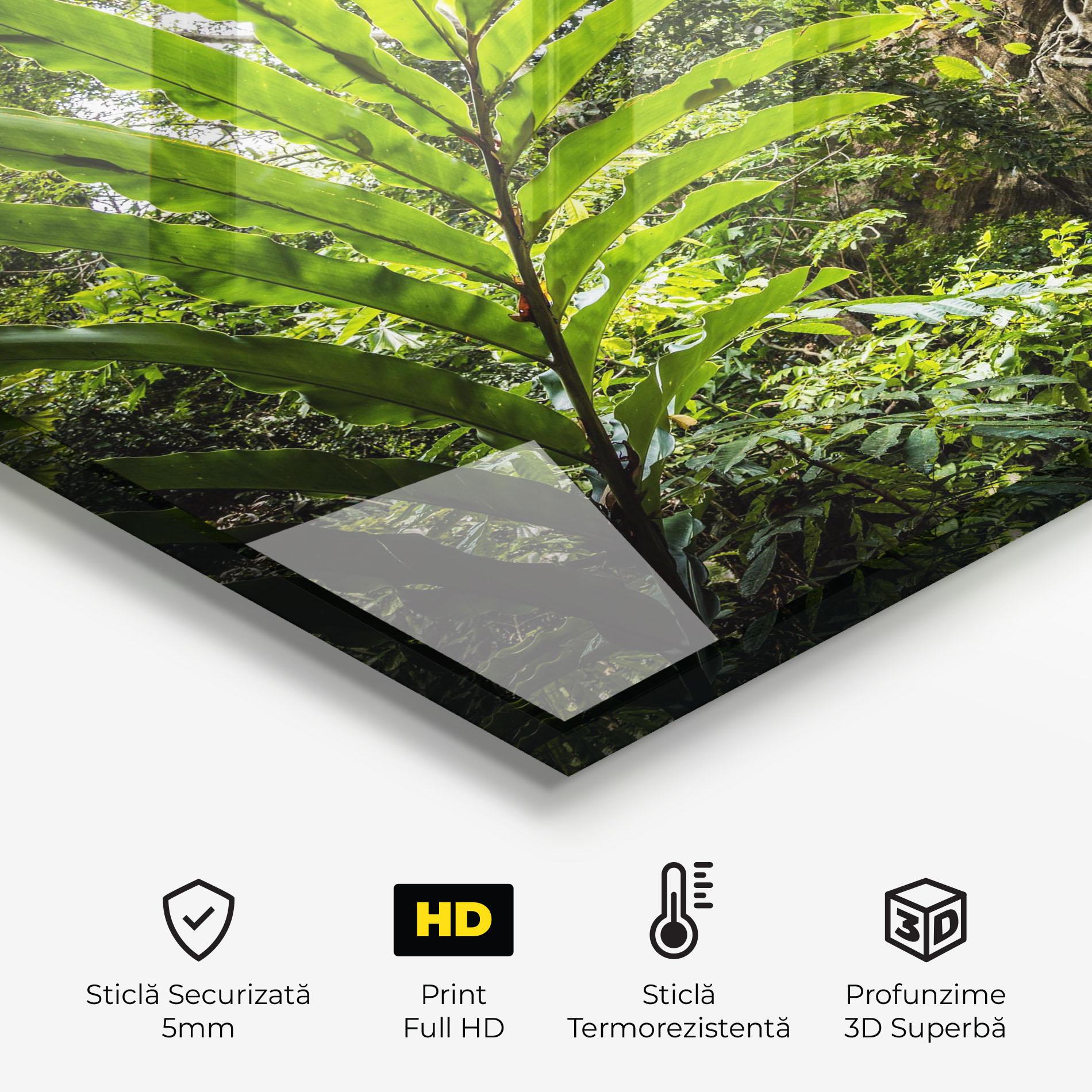 Panou Sticla Bucatarie Big Leaf Forest mockup 2