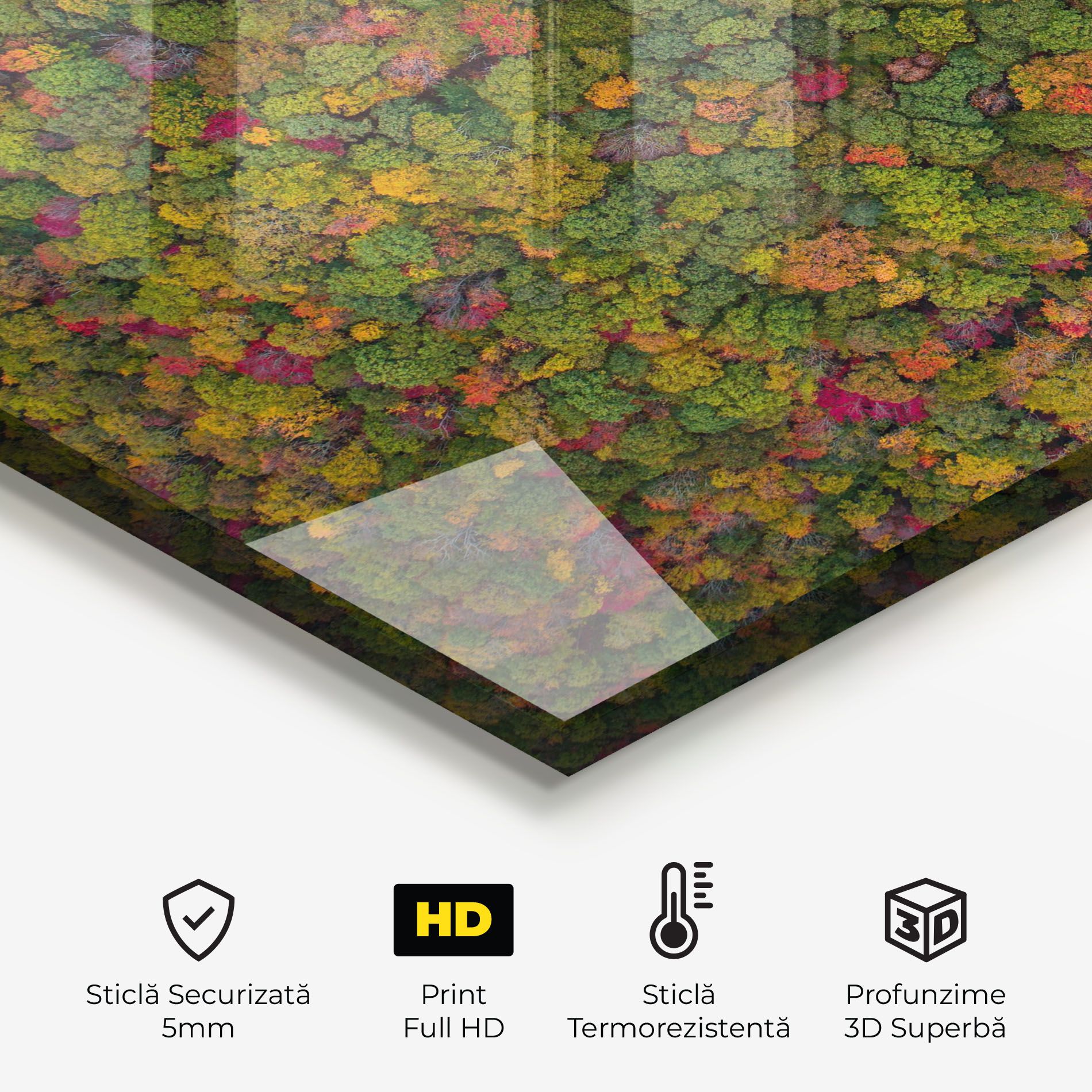 Color Mix Forest mockup 2