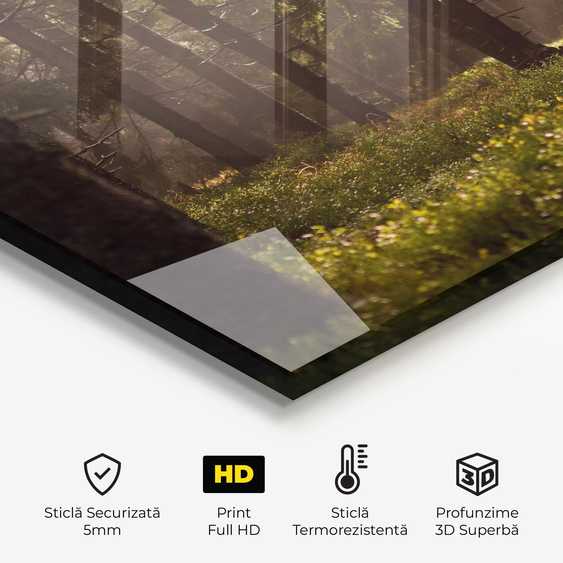 Panou Sticla Bucatarie Daylight Forest mockup 2