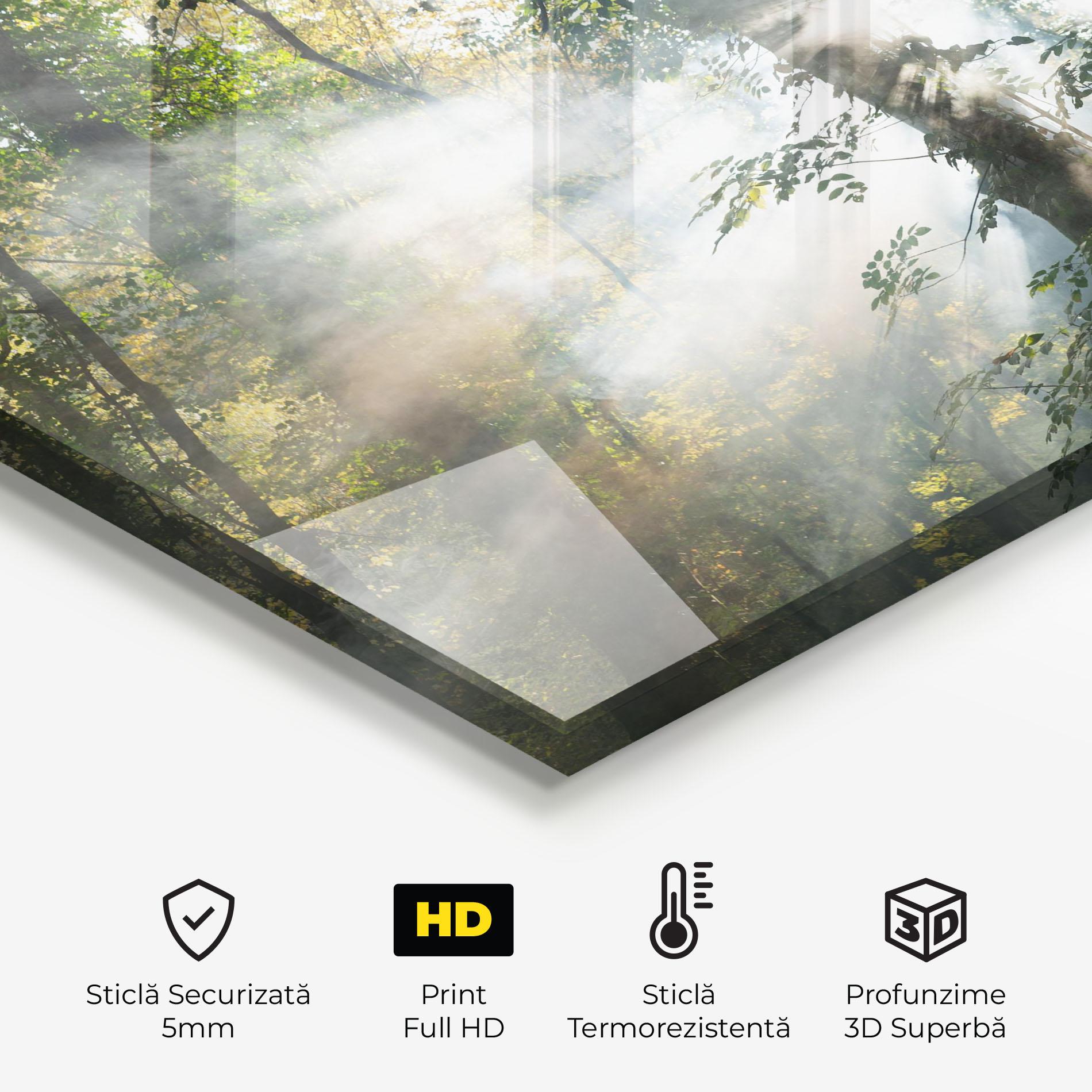 Panou Sticla Bucatarie Foggy Light Forest mockup 2