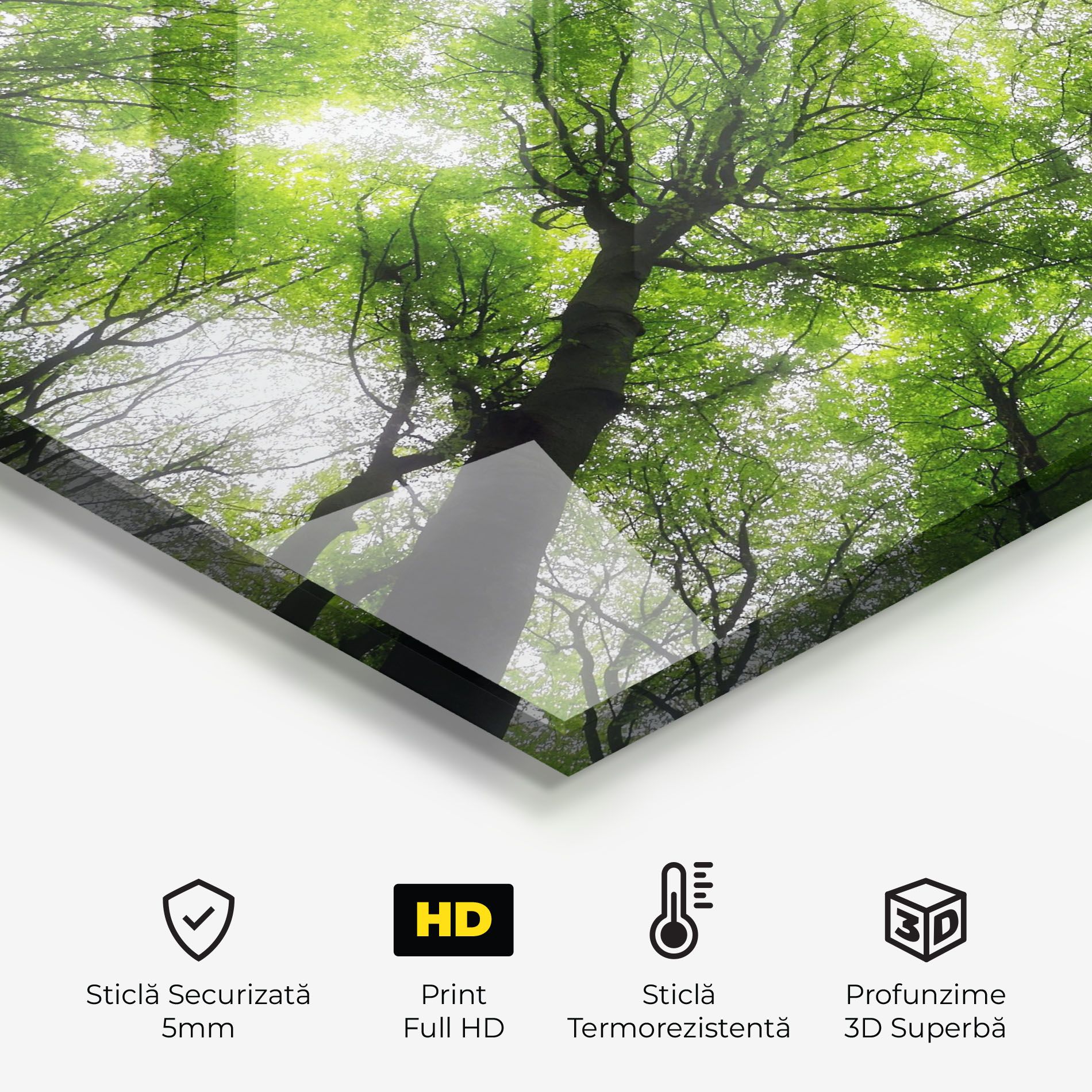 Forest Green Tree mockup 2