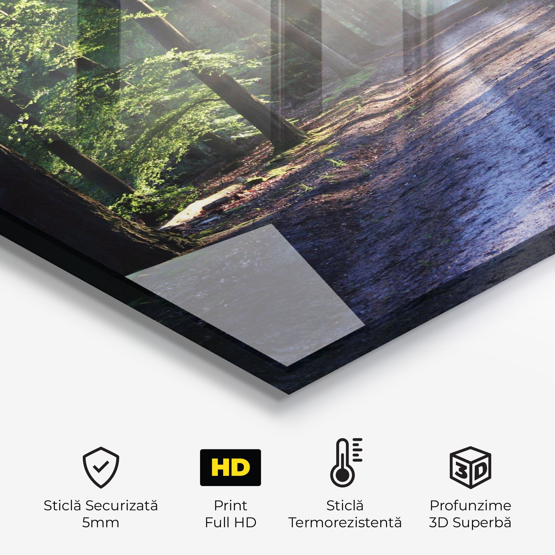 Forest Road mockup 2