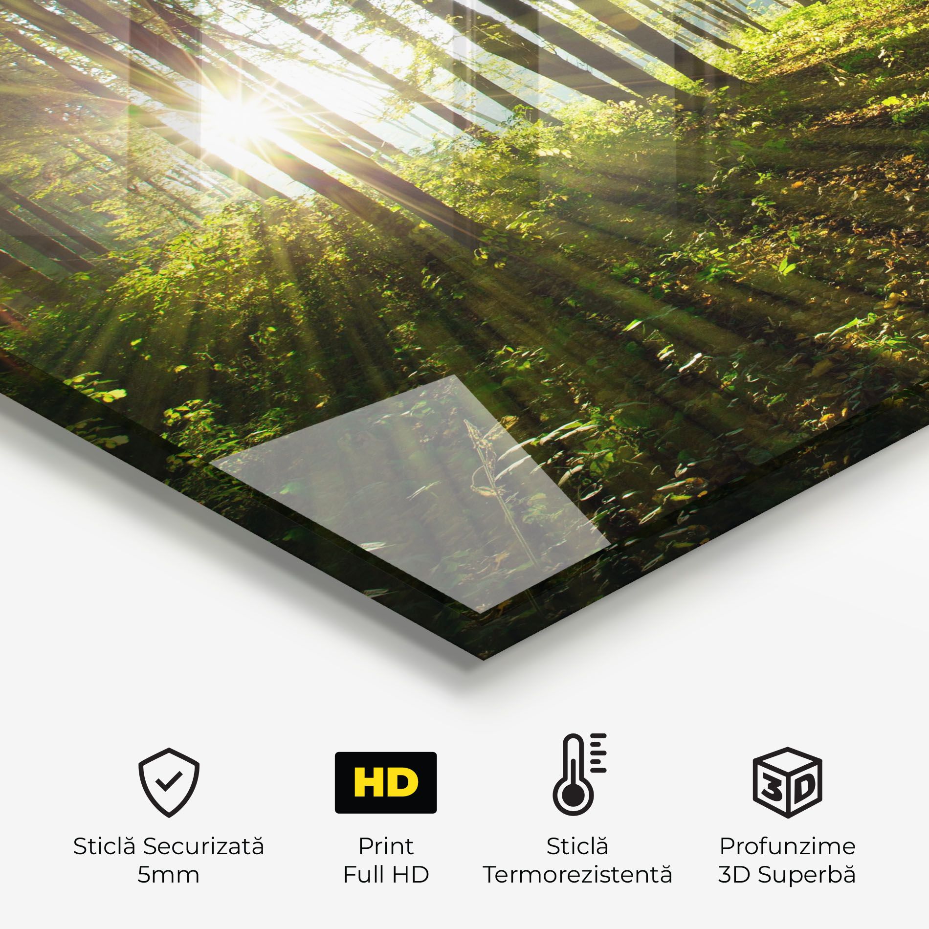 Green Light Forest mockup 2