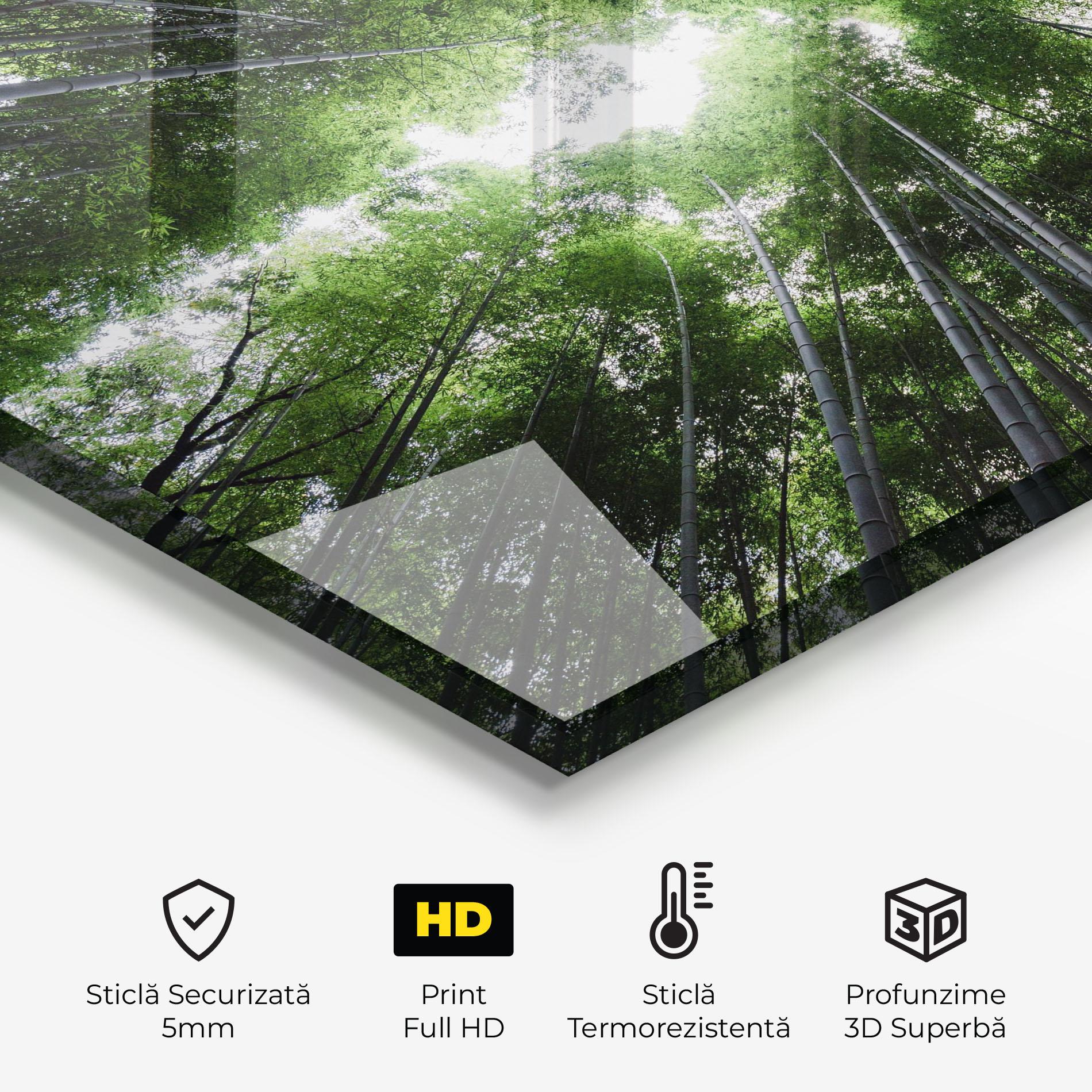 Panou Sticla Bucatarie Green Trees Forest mockup 2