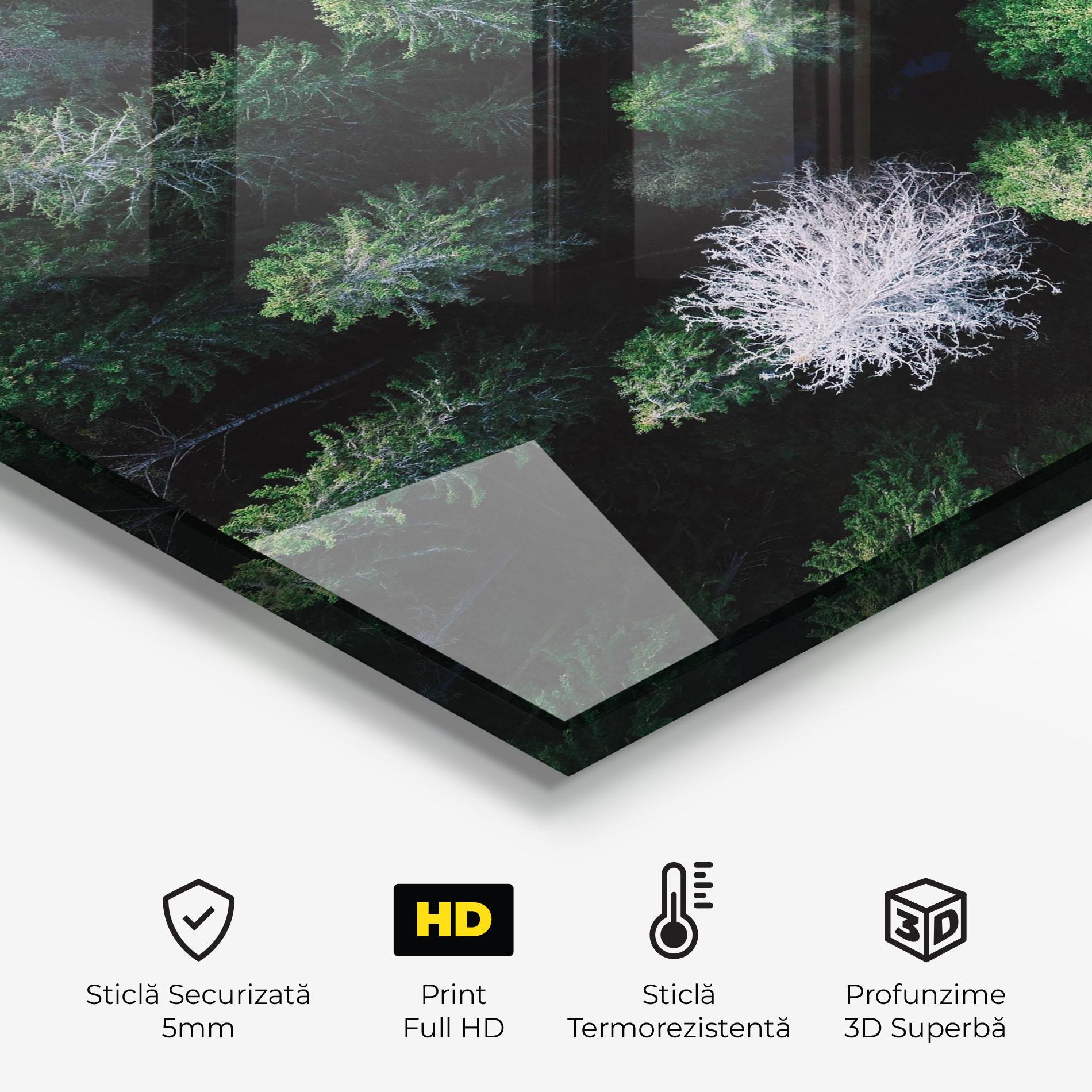 Panou Sticla Bucatarie Green Trees Road mockup 2