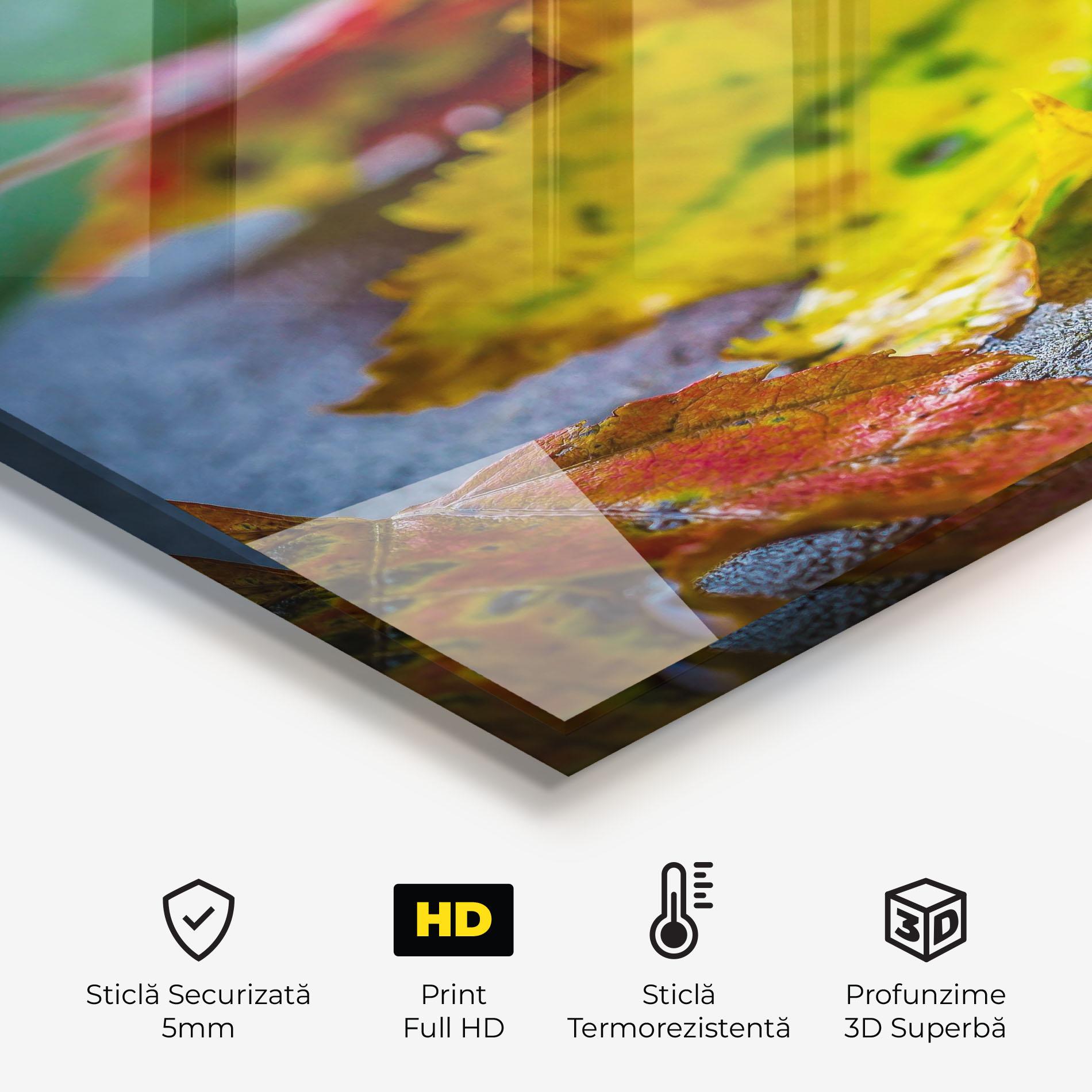 Panou Sticla Bucatarie Leaf Color Forest mockup 2