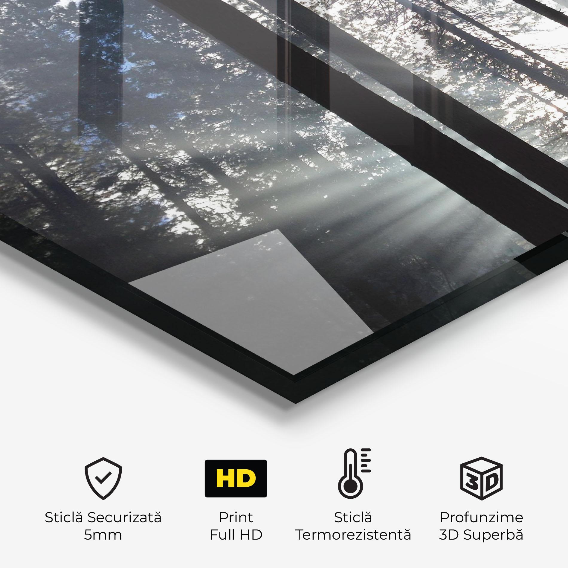 Panou Sticla Bucatarie Morning Light Forest mockup 2