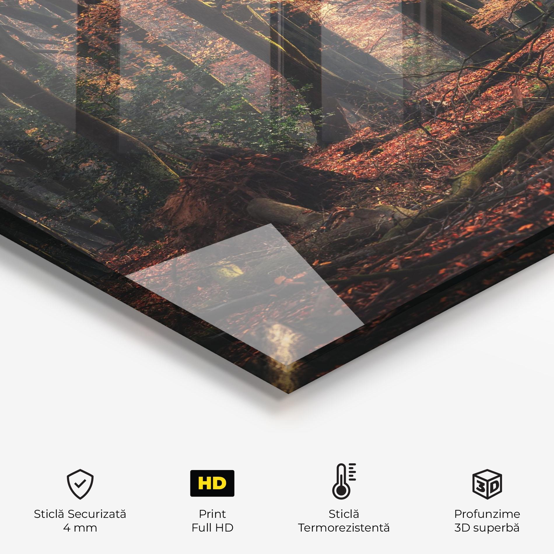 Panou Sticla Bucatarie Autumn Forest Trees mockup 2