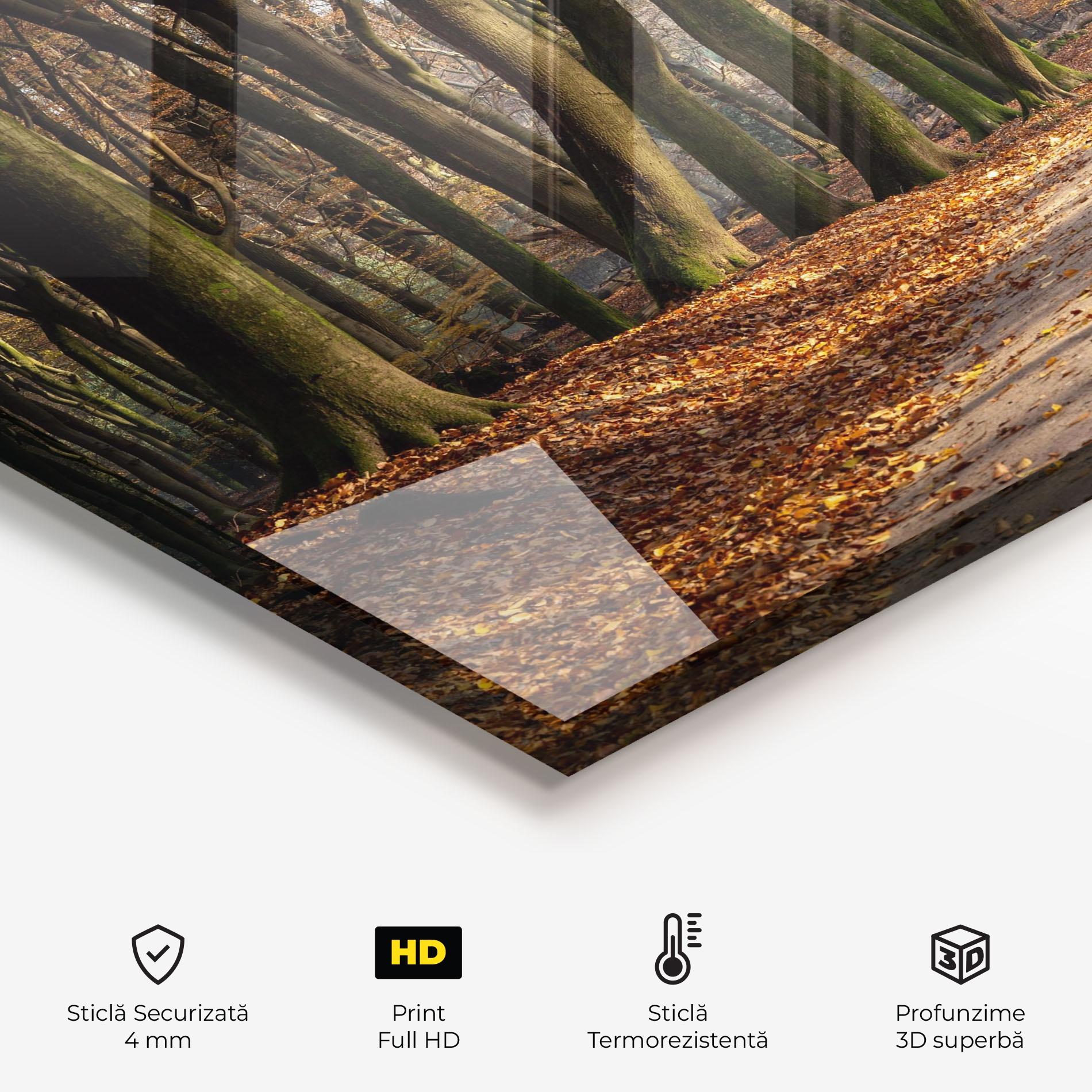 Panou Sticla Bucatarie Autumn Path Forest mockup 2