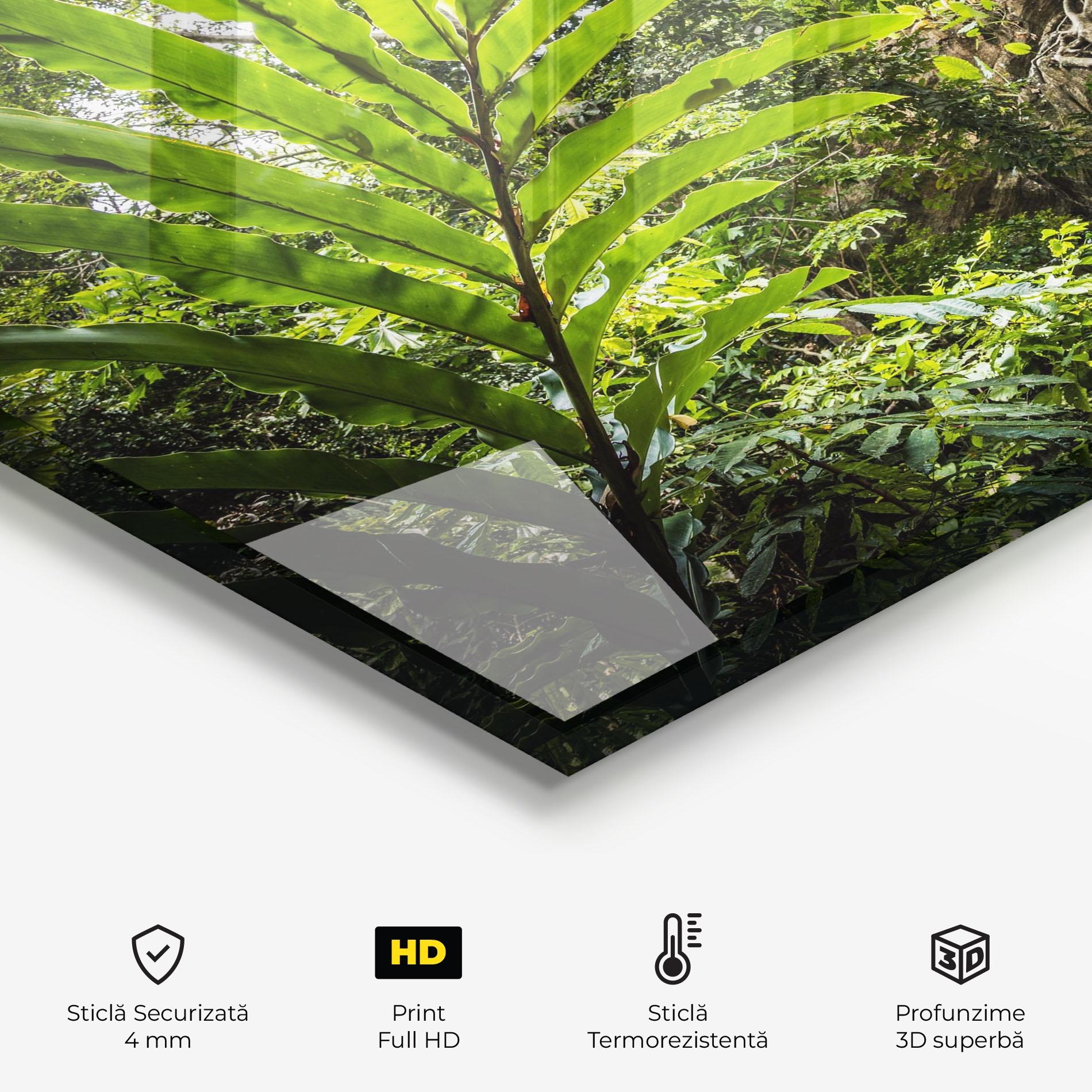 Panou Sticla Bucatarie Big Leaf Forest mockup 2