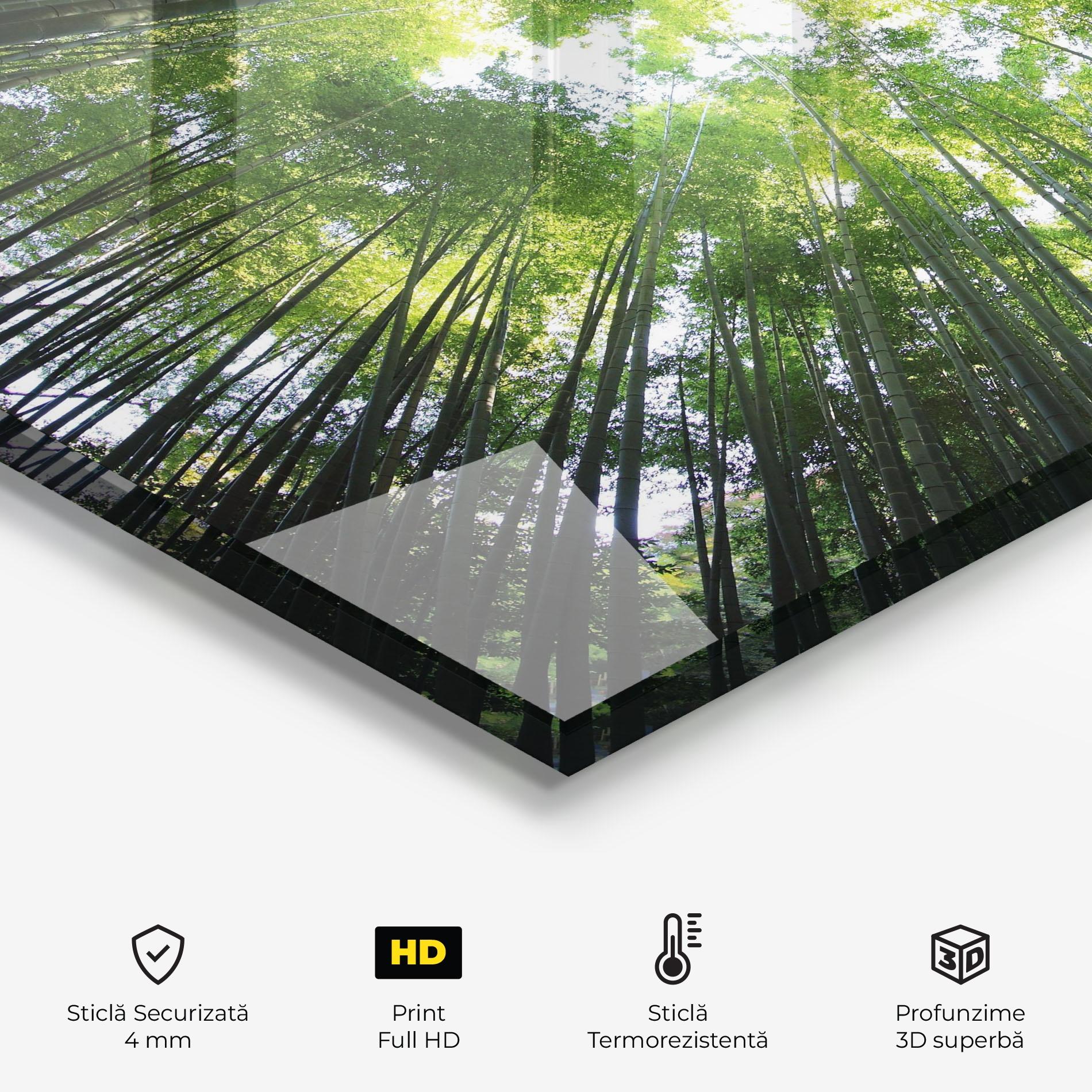 Panou Sticla Bucatarie Big Trees Morning mockup 2