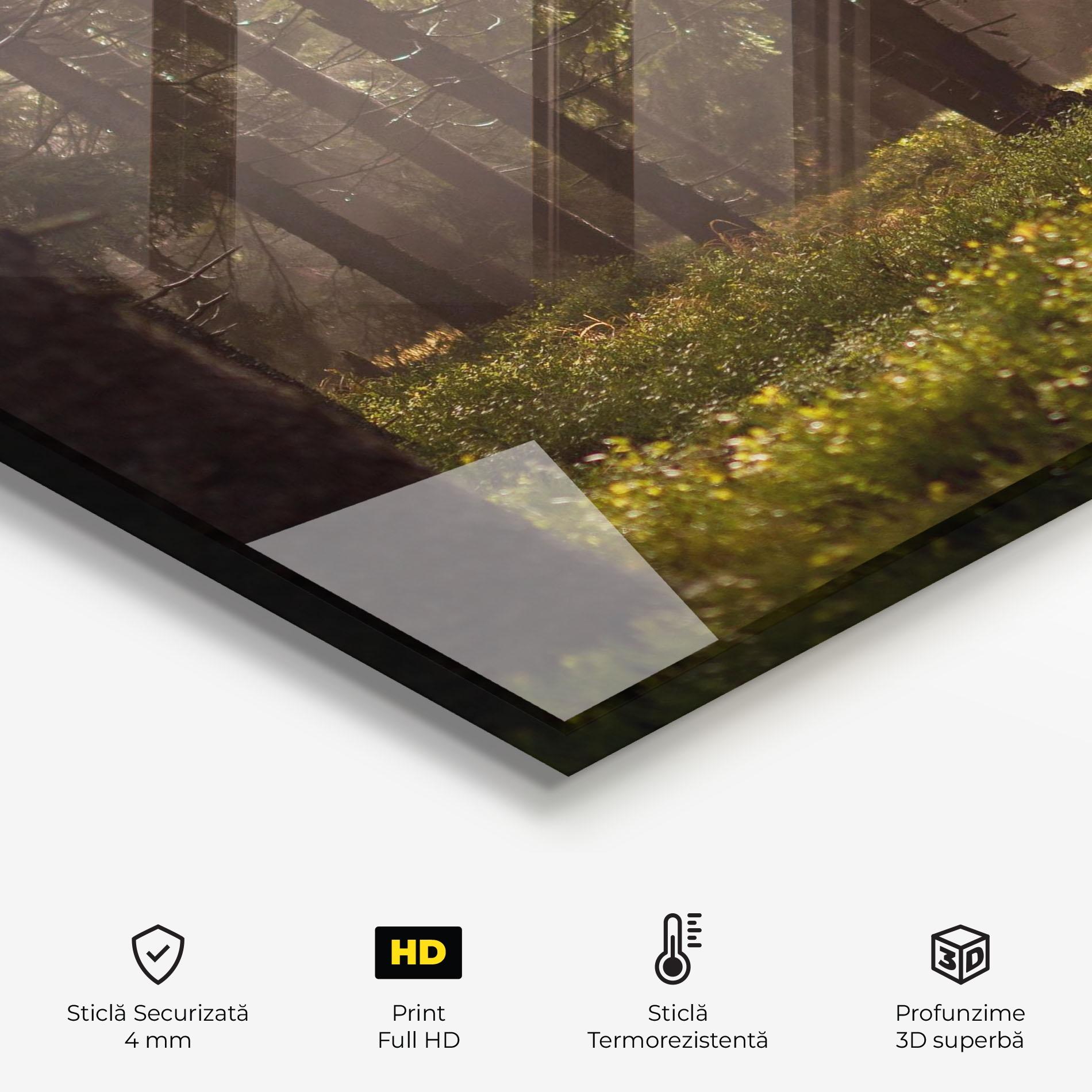 Panou Sticla Bucatarie Daylight Forest mockup 2