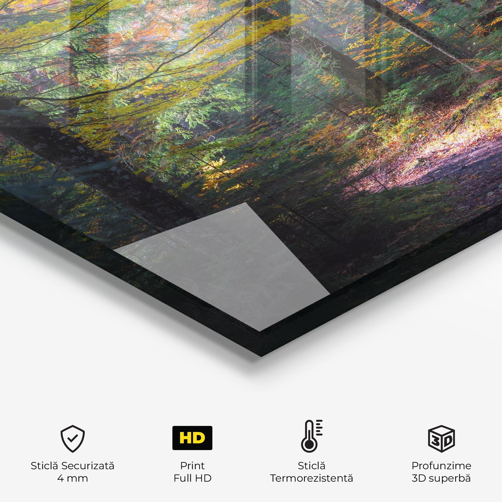 Panou Sticla Bucatarie Dreamy Path Dorest mockup 2