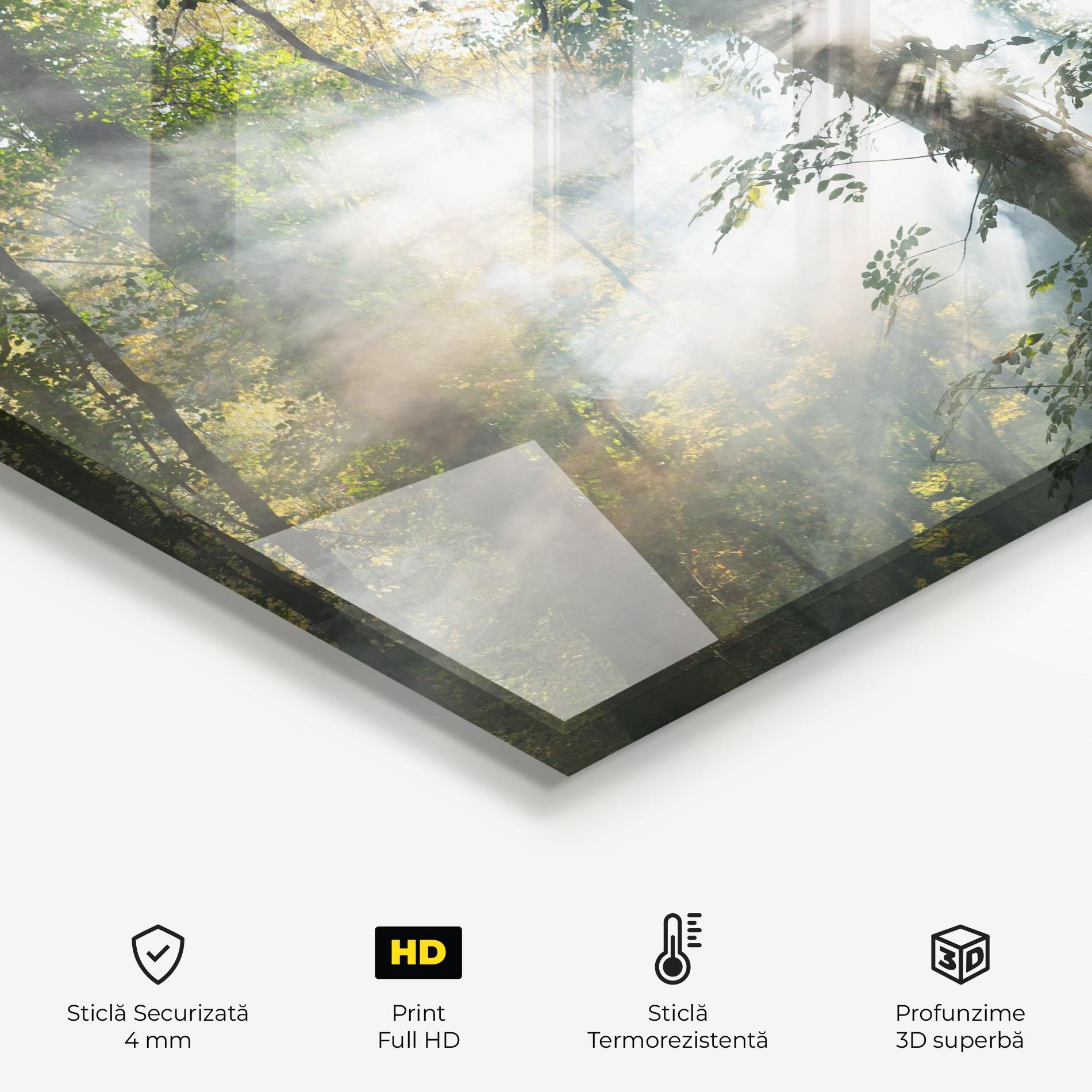 Panou Sticla Bucatarie Foggy Light Forest mockup 2