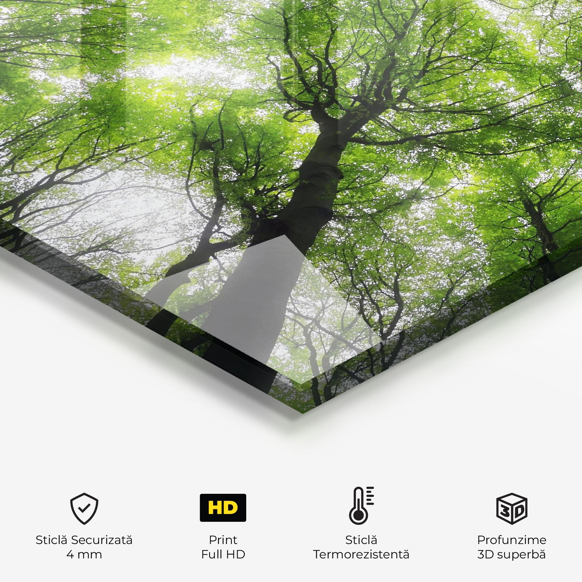 Panou Sticla Bucatarie Forest Green Tree mockup 2