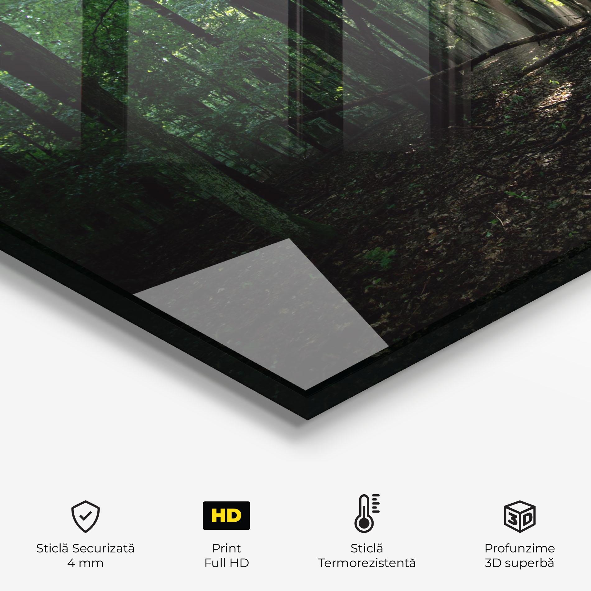 Panou Sticla Bucatarie Forest Sun Light mockup 2