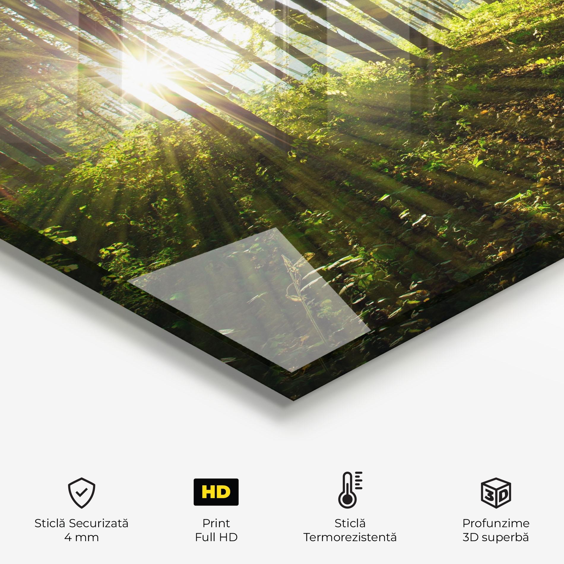 Panou Sticla Bucatarie Green Light Forest mockup 2