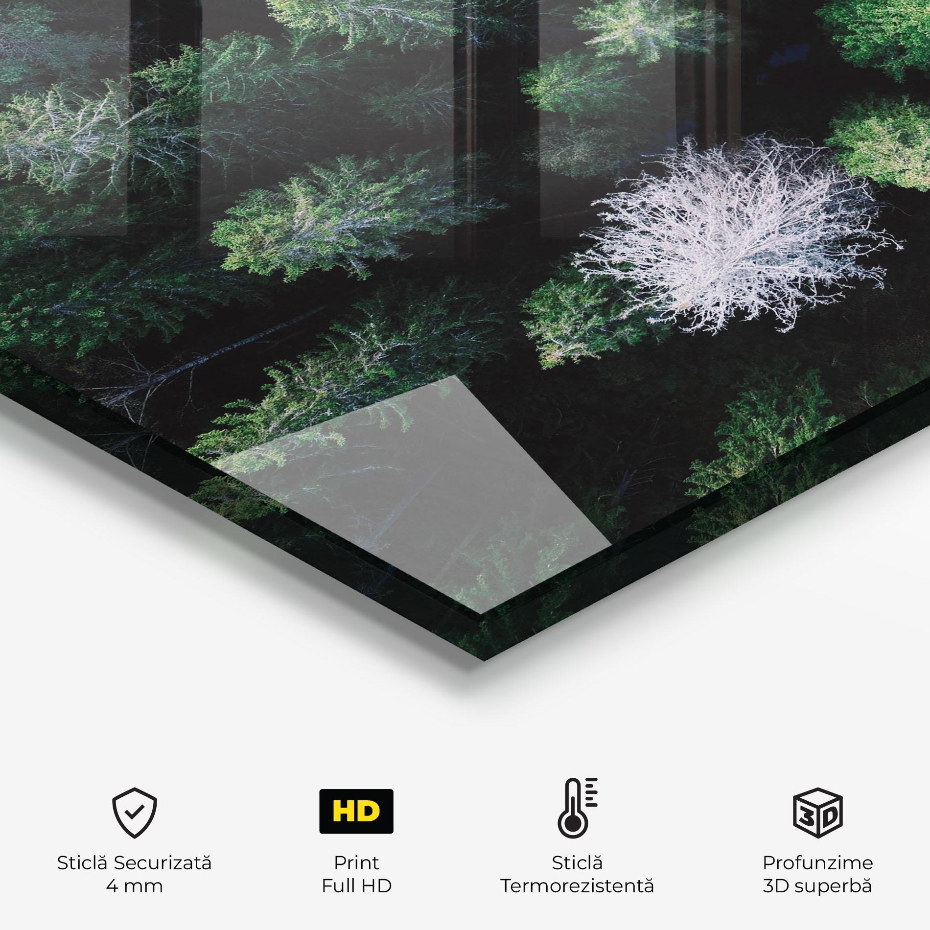 Panou Sticla Bucatarie Green Trees Road mockup 2