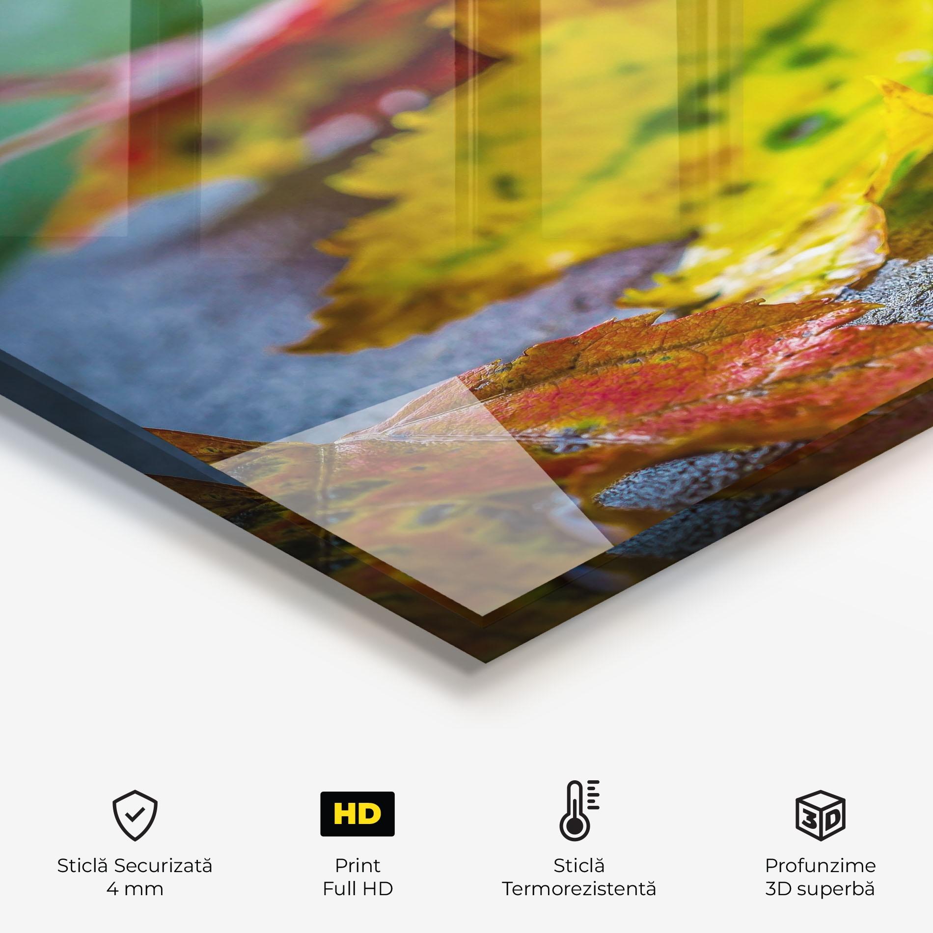 Panou Sticla Bucatarie Leaf Color Forest mockup 2