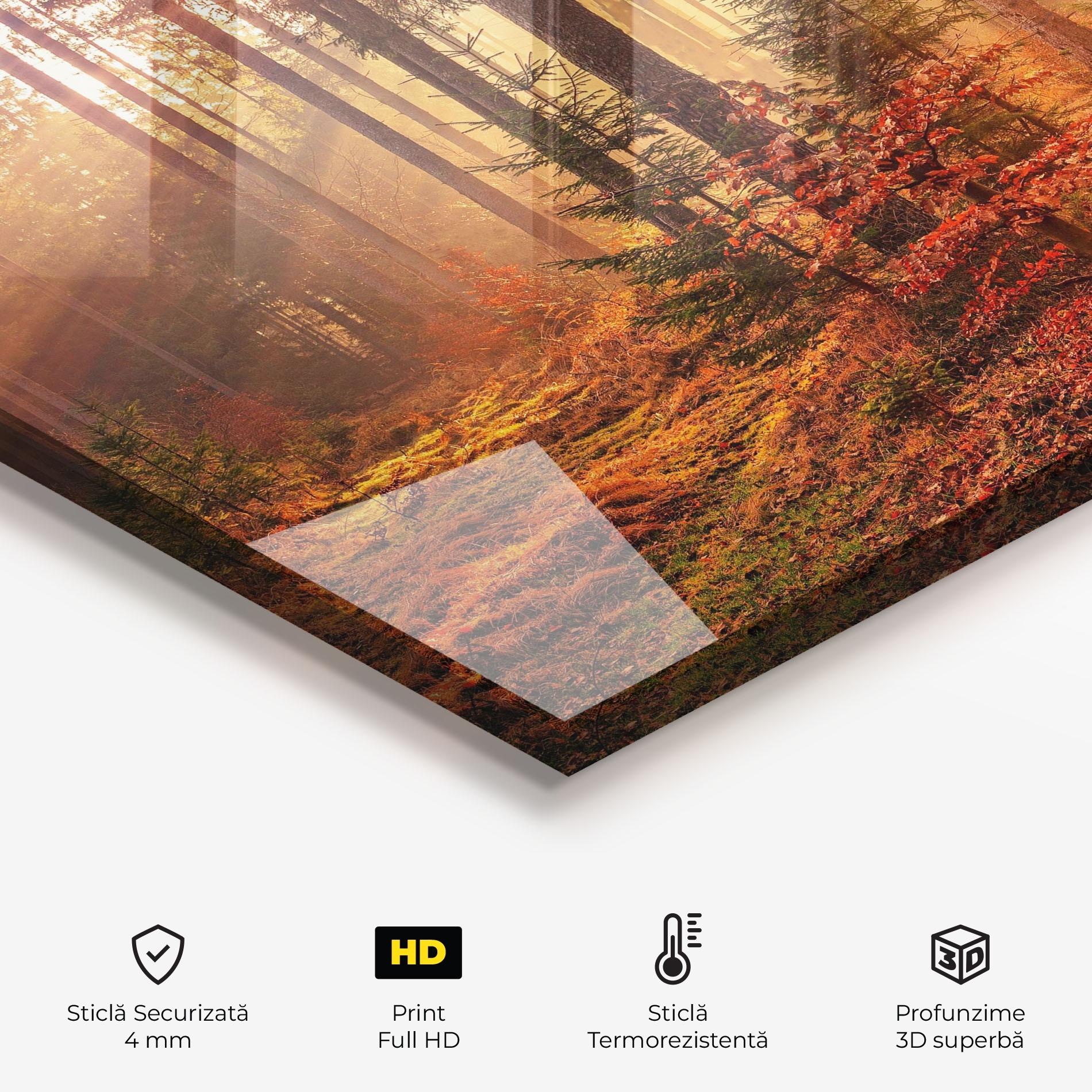 Panou Sticla Bucatarie Orange Light Forest mockup 2