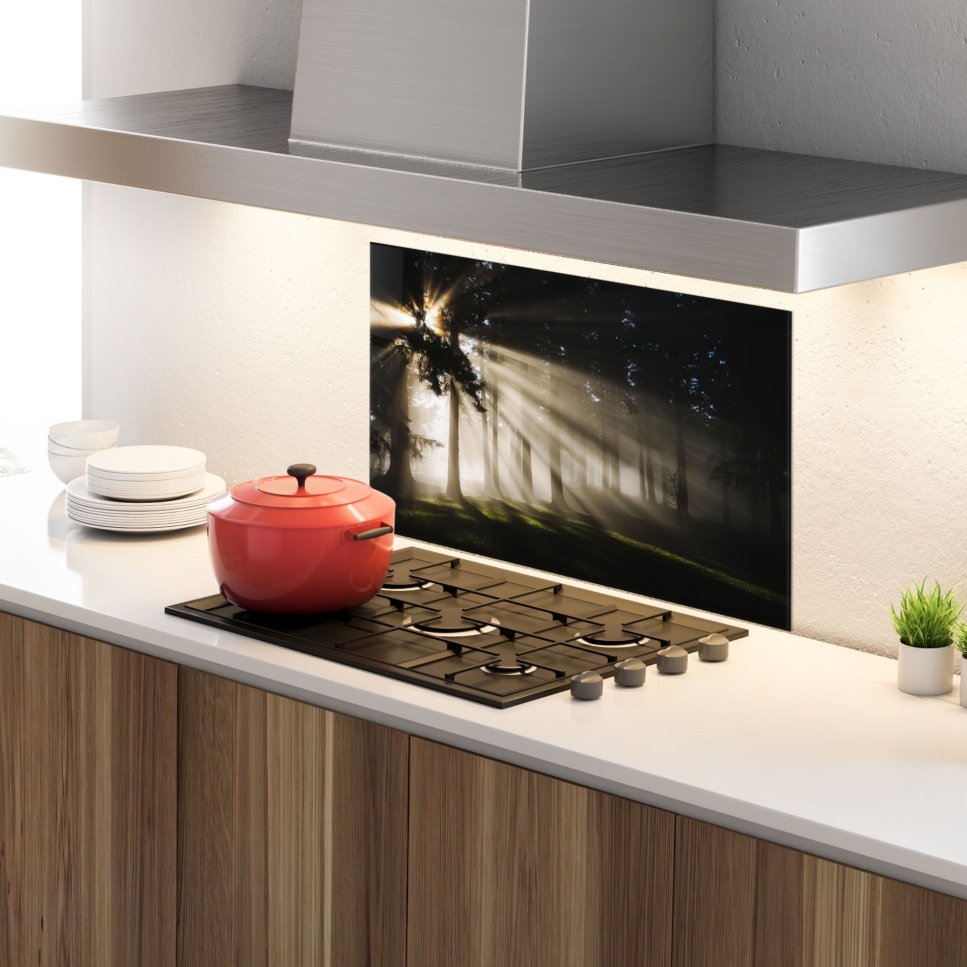 Forest Foggy Daylight mockup 4