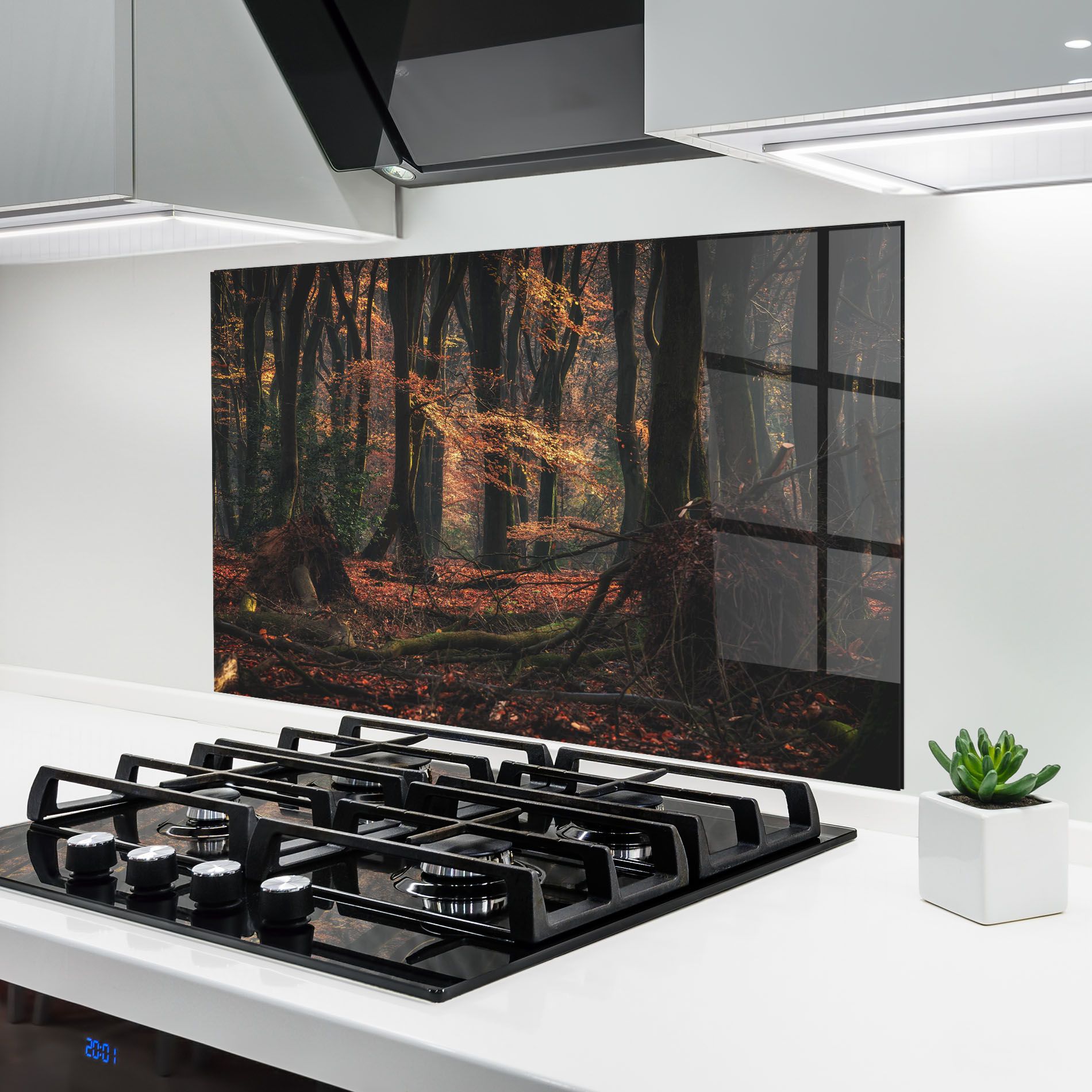 Autumn Forest Trees mockup 6