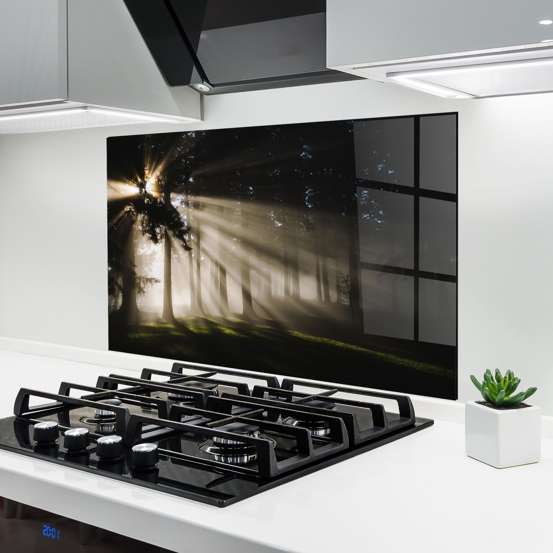 Forest Foggy Daylight mockup 6