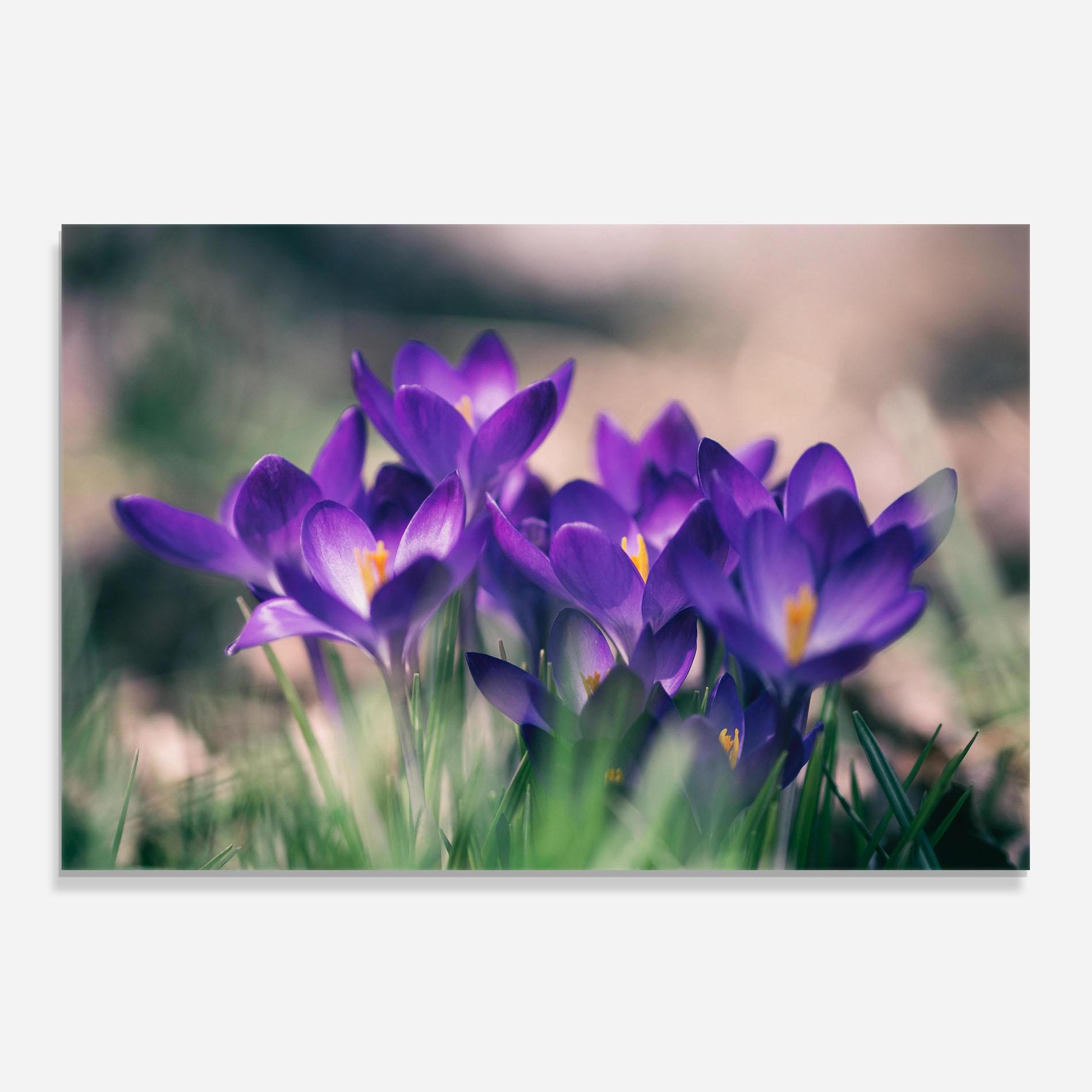 Panou Sticla Bucatarie Pretty Spring Flower mockup 0
