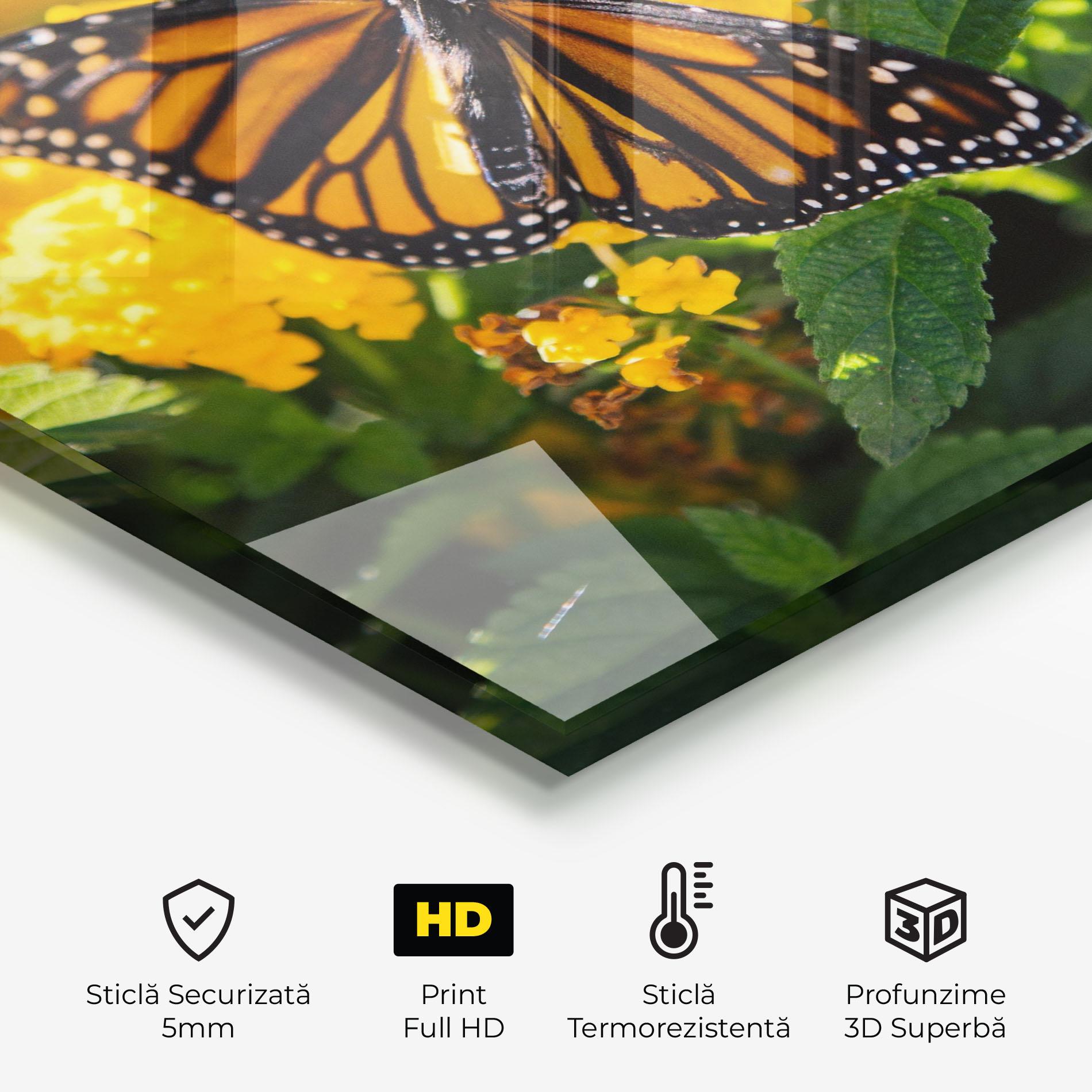 Panou Sticla Bucatarie Orange Spring Butterfly mockup 2