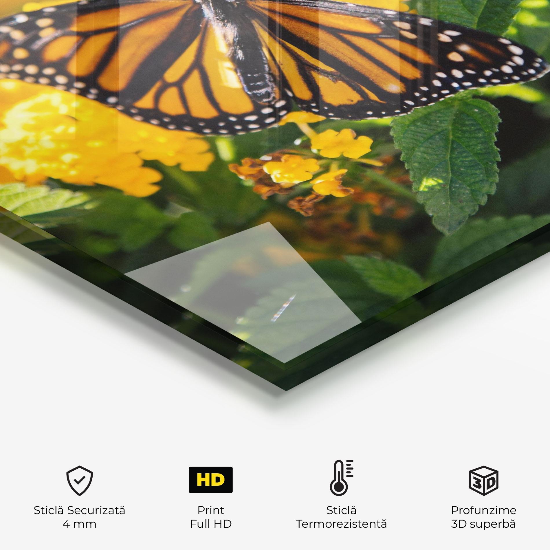 Panou Sticla Bucatarie Orange Spring Butterfly mockup 2