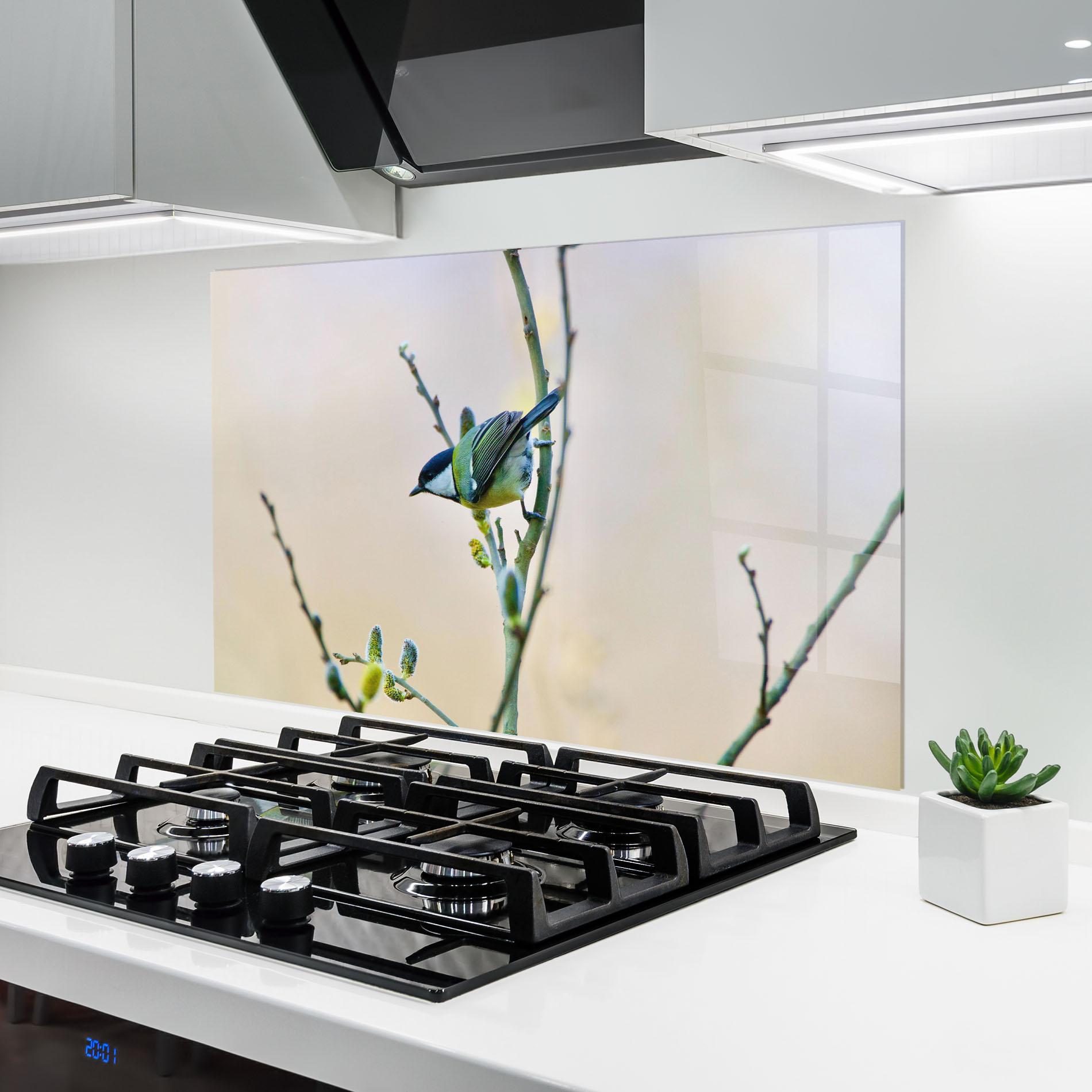 Panou Sticla Bucatarie Beautiful Spring Bird mockup 6