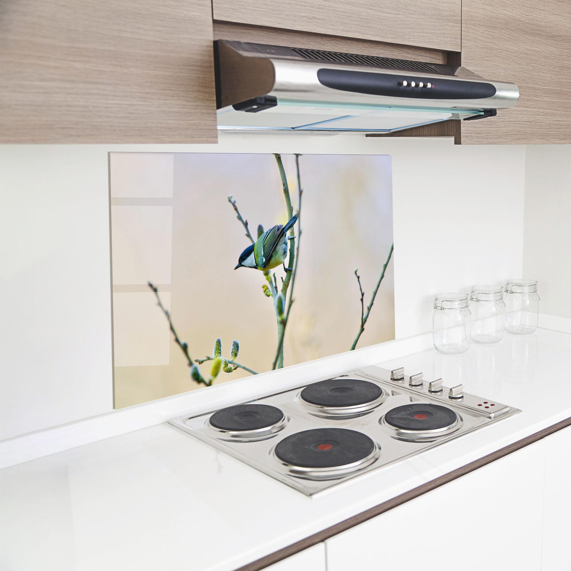 Panou Sticla Bucatarie Beautiful Spring Bird mockup 8