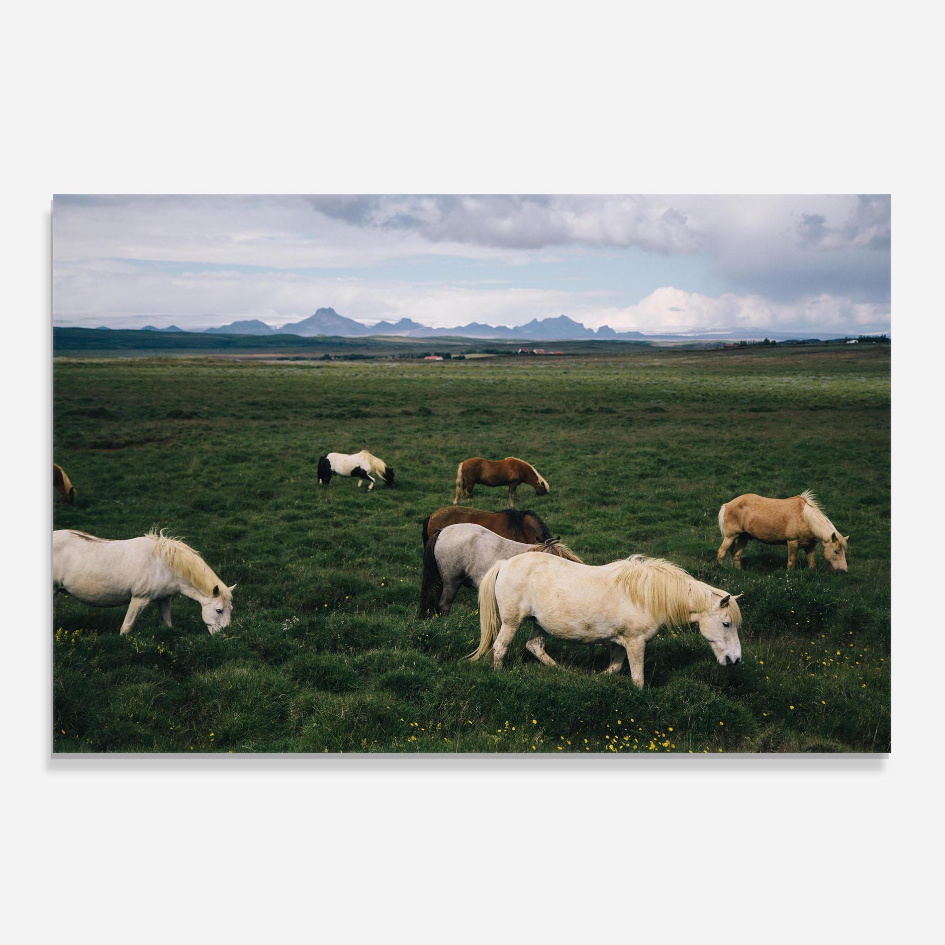 Panou Sticla Bucatarie Countryside Horses mockup 0