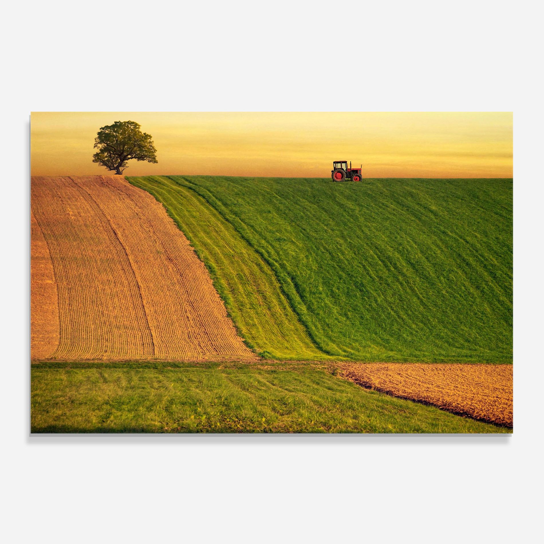 Green Cream Field mockup 0