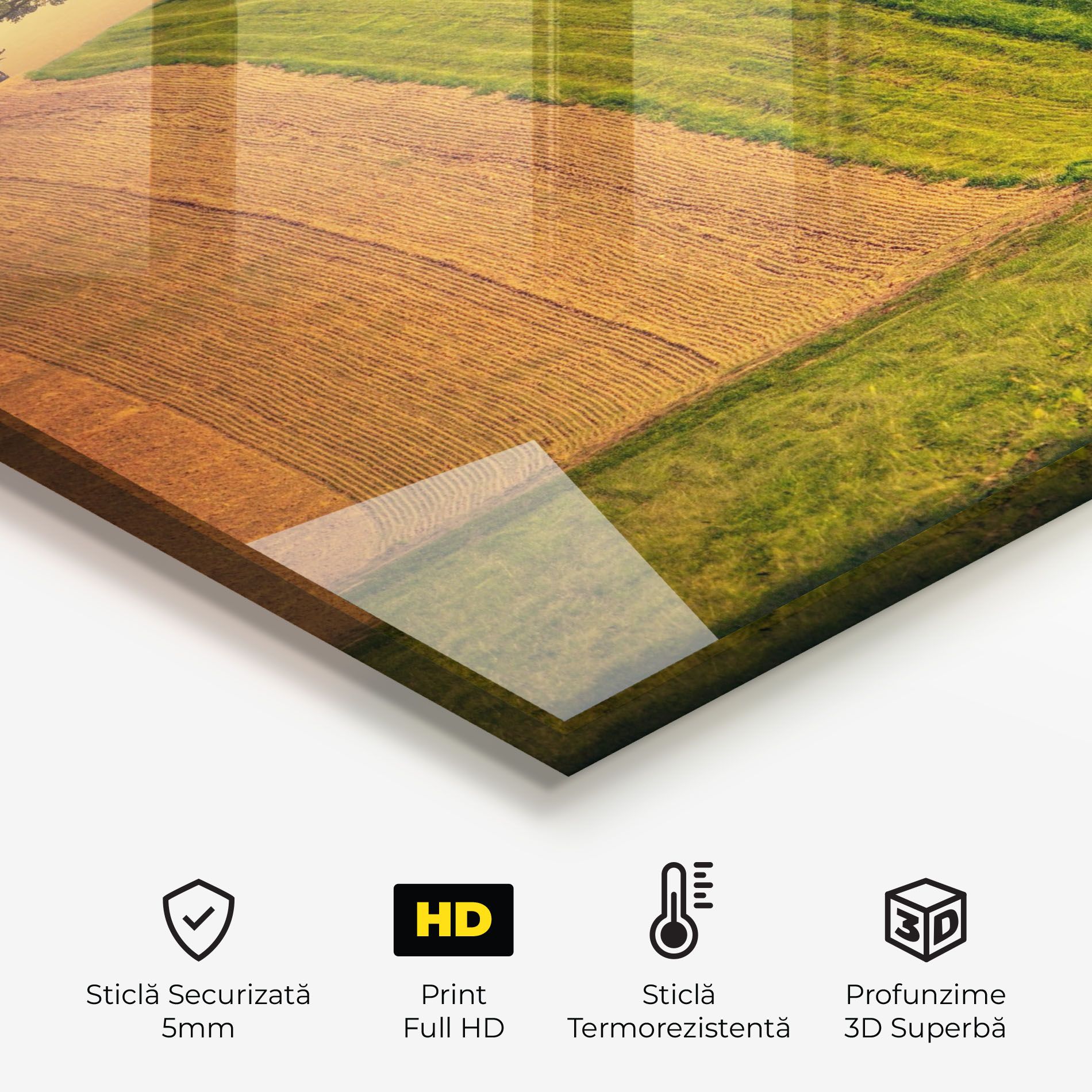 Green Cream Field mockup 2