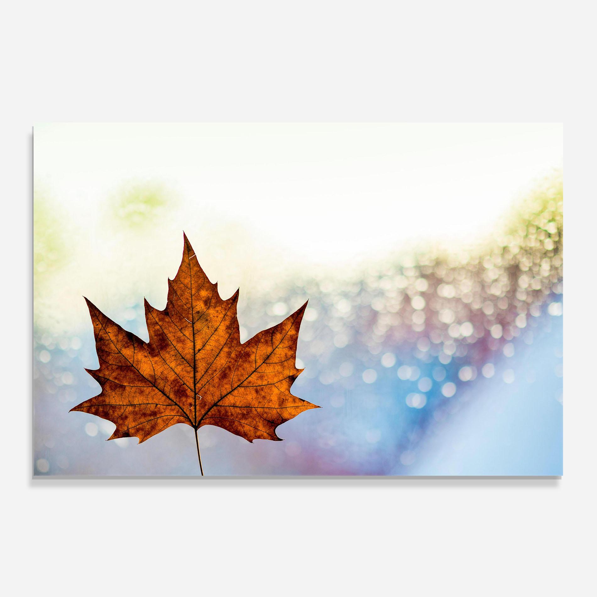 Panou Sticla Bucatarie Brown Orange Leaf mockup 0