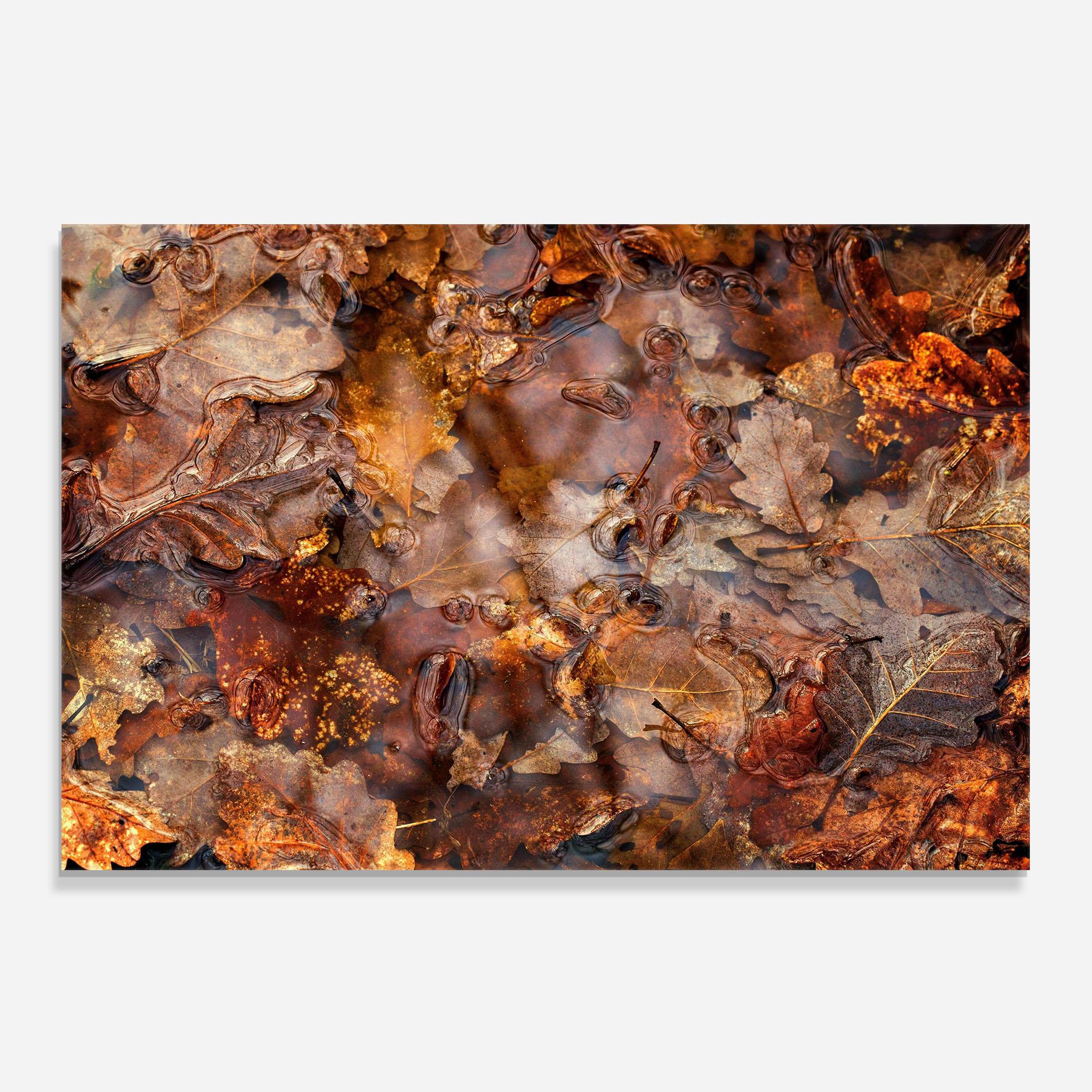 Panou Sticla Bucatarie Brown mockup 0