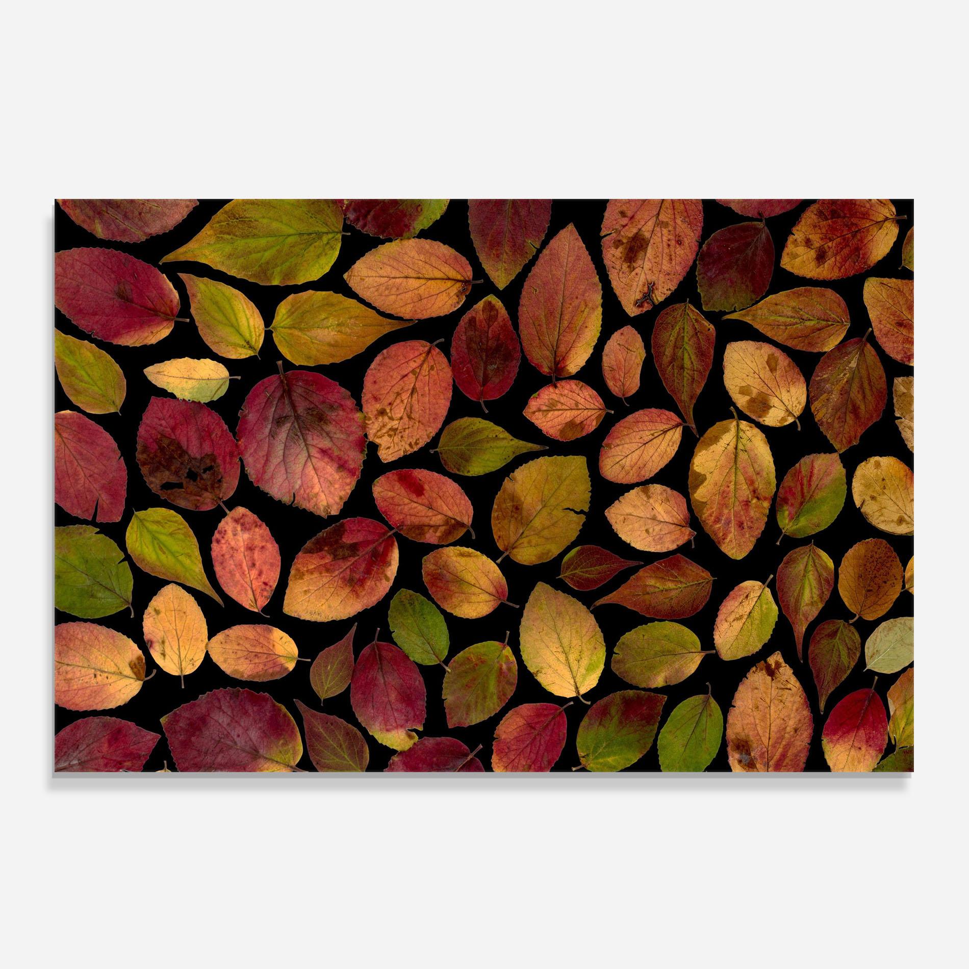 Panou Sticla Bucatarie Carpet Of Leaves mockup 0