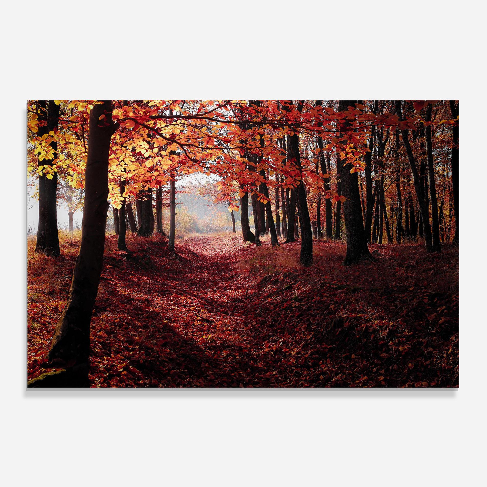Panou Sticla Bucatarie Red Leaves Forest mockup 0
