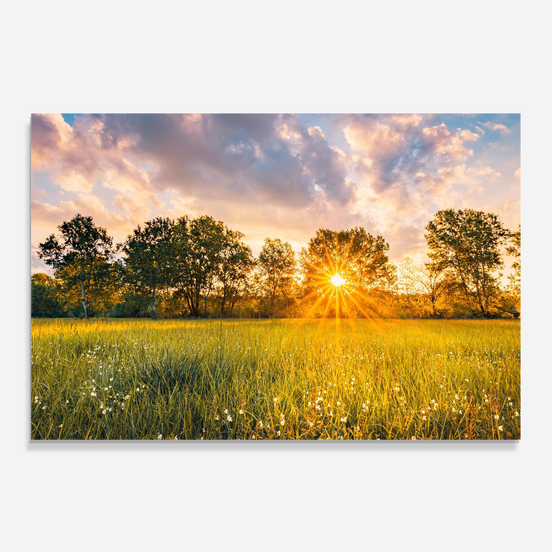 Panou Sticla Bucatarie Blossoming Meadow mockup 0