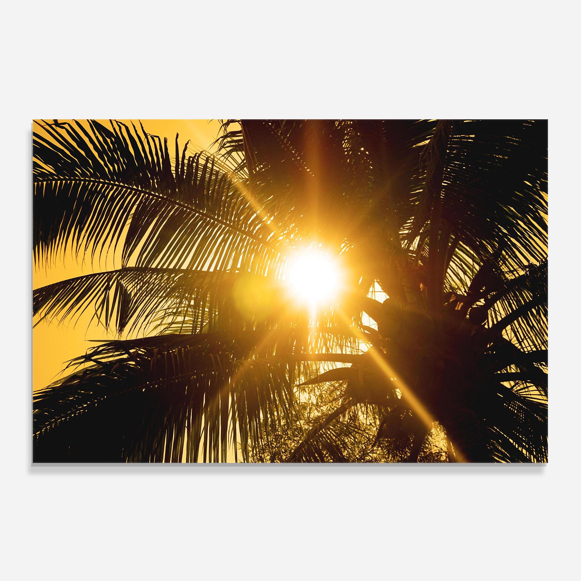 Panou Sticla Bucatarie Palm Trees Sun mockup 0