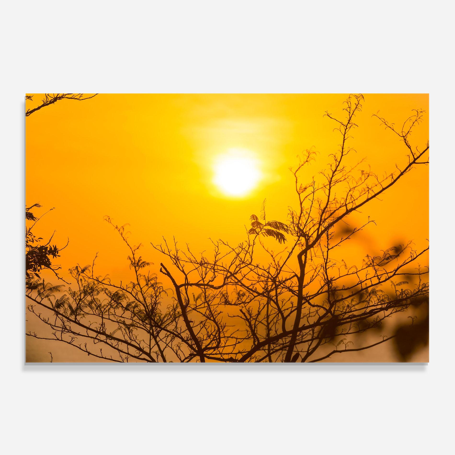 Panou Sticla Bucatarie Sunset Branches mockup 0