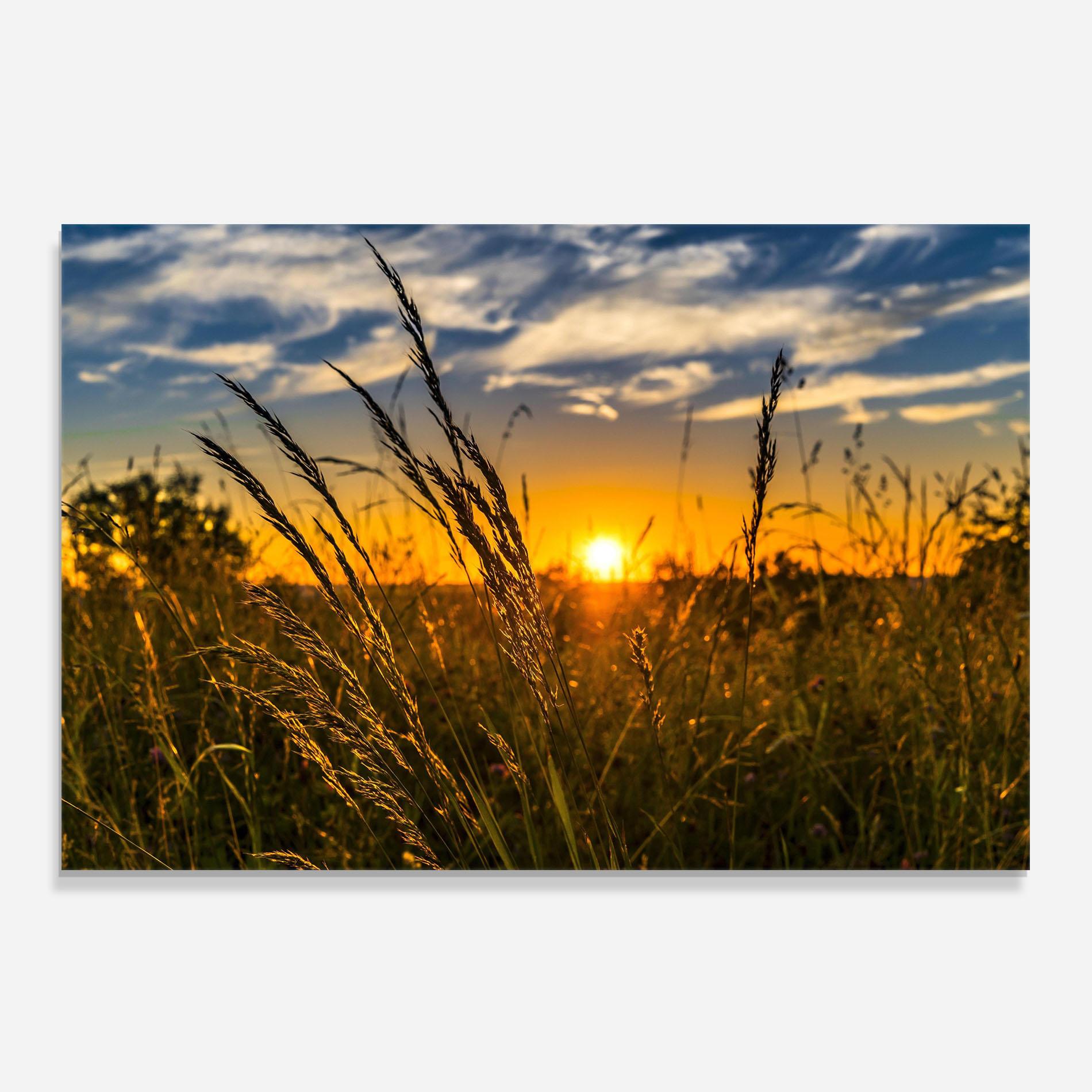Panou Sticla Bucatarie Wheat Sunset mockup 0