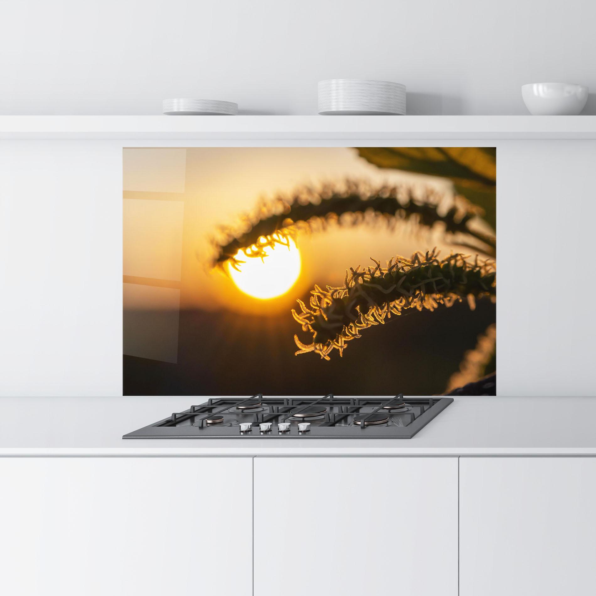 Panou Sticla Bucatarie Plant Shilouette mockup 9