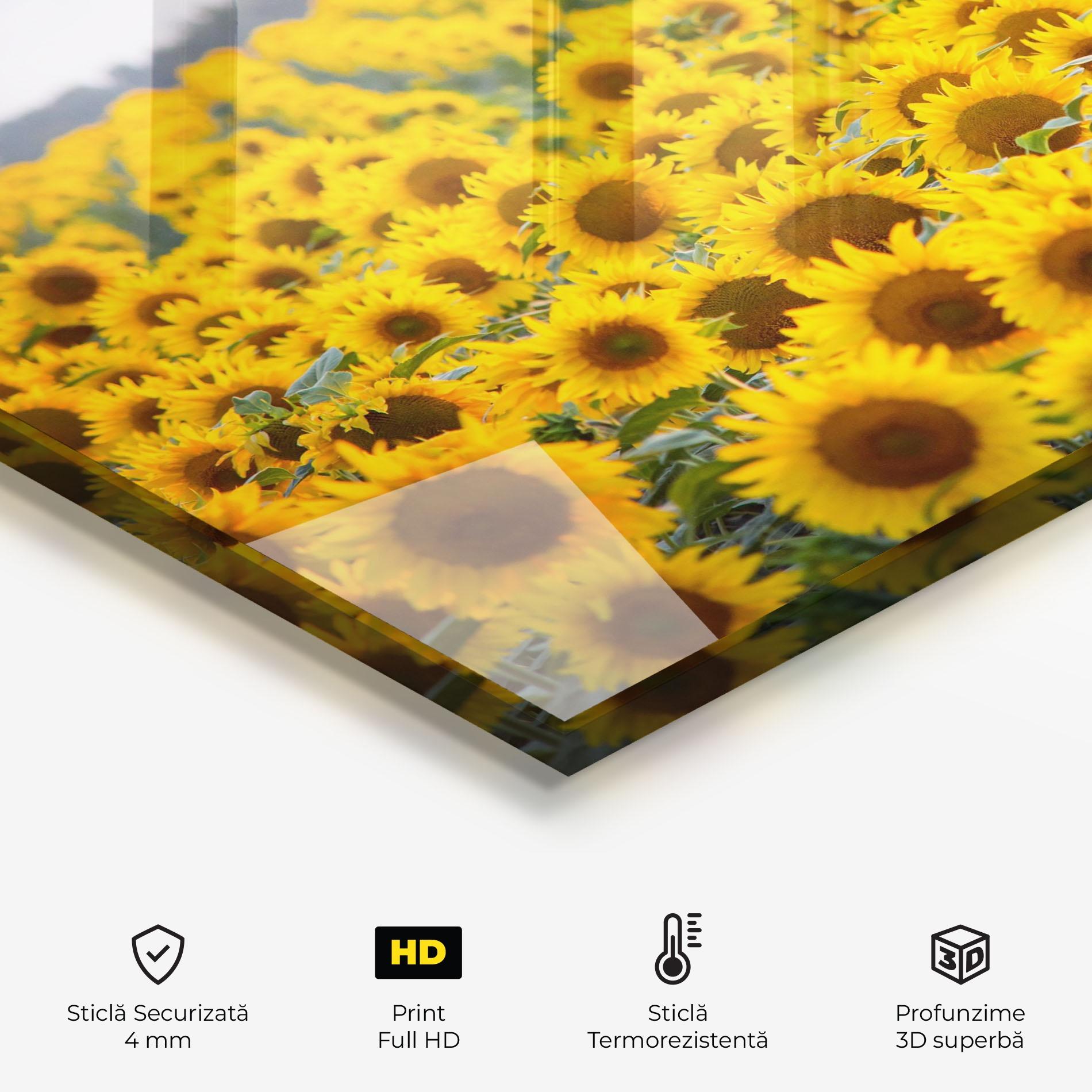Panou Sticla Bucatarie Blooming Sunflowers mockup 2