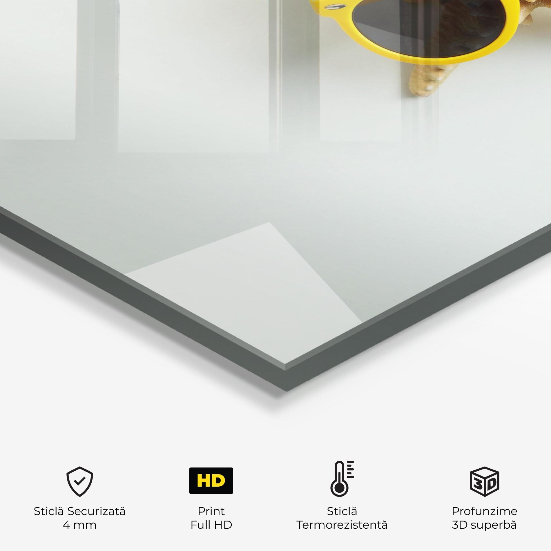 Panou Sticla Bucatarie Seastar Sunglasses mockup 2