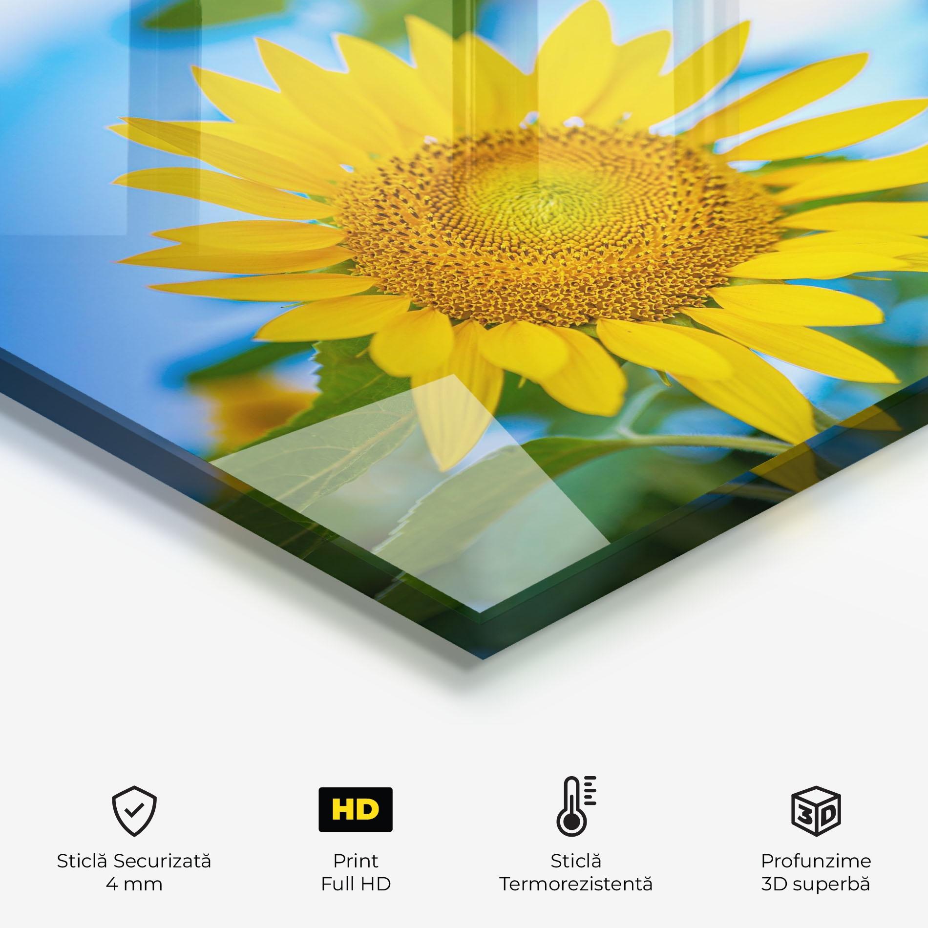 Panou Sticla Bucatarie Sunflower Sky mockup 2