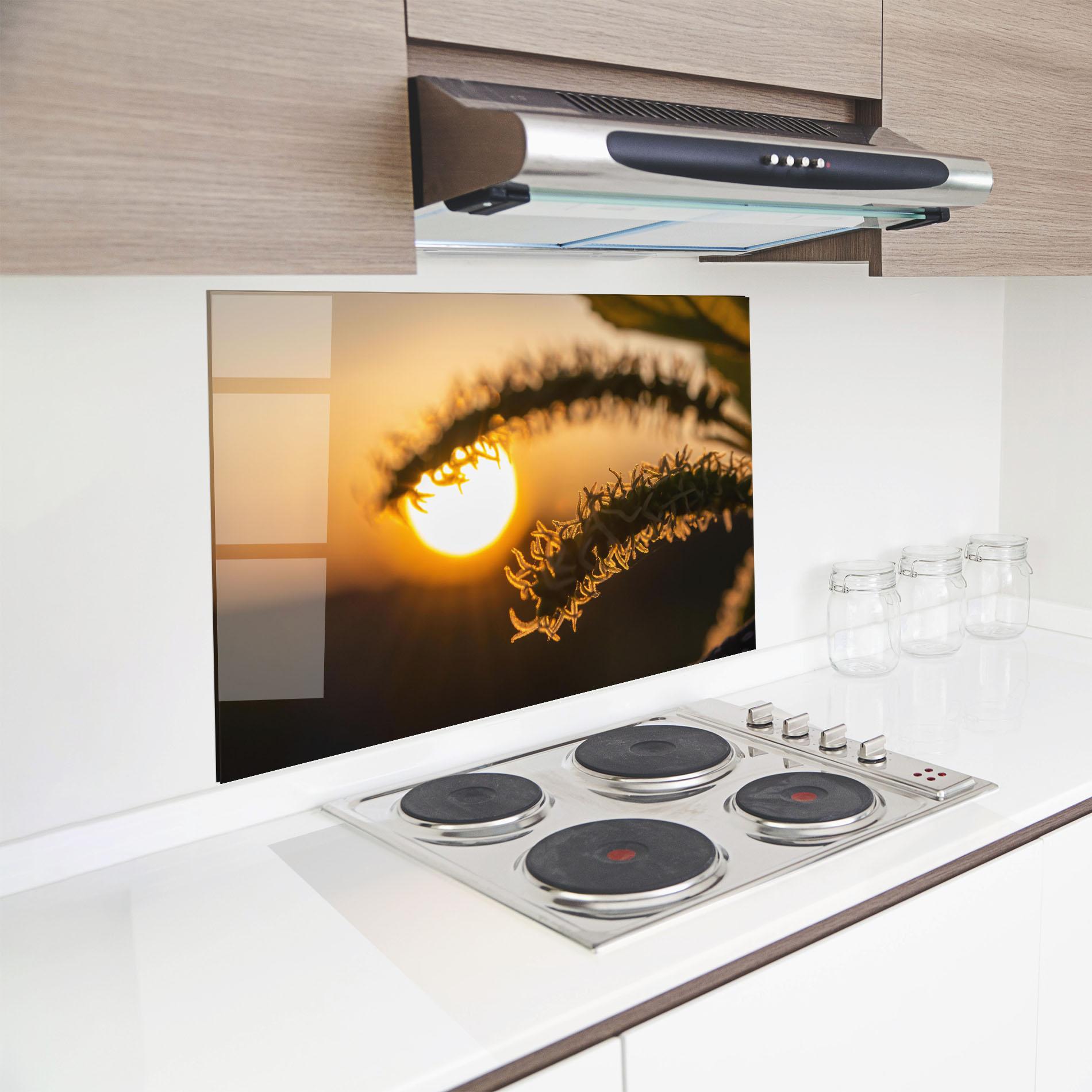 Panou Sticla Bucatarie Plant Shilouette mockup 8