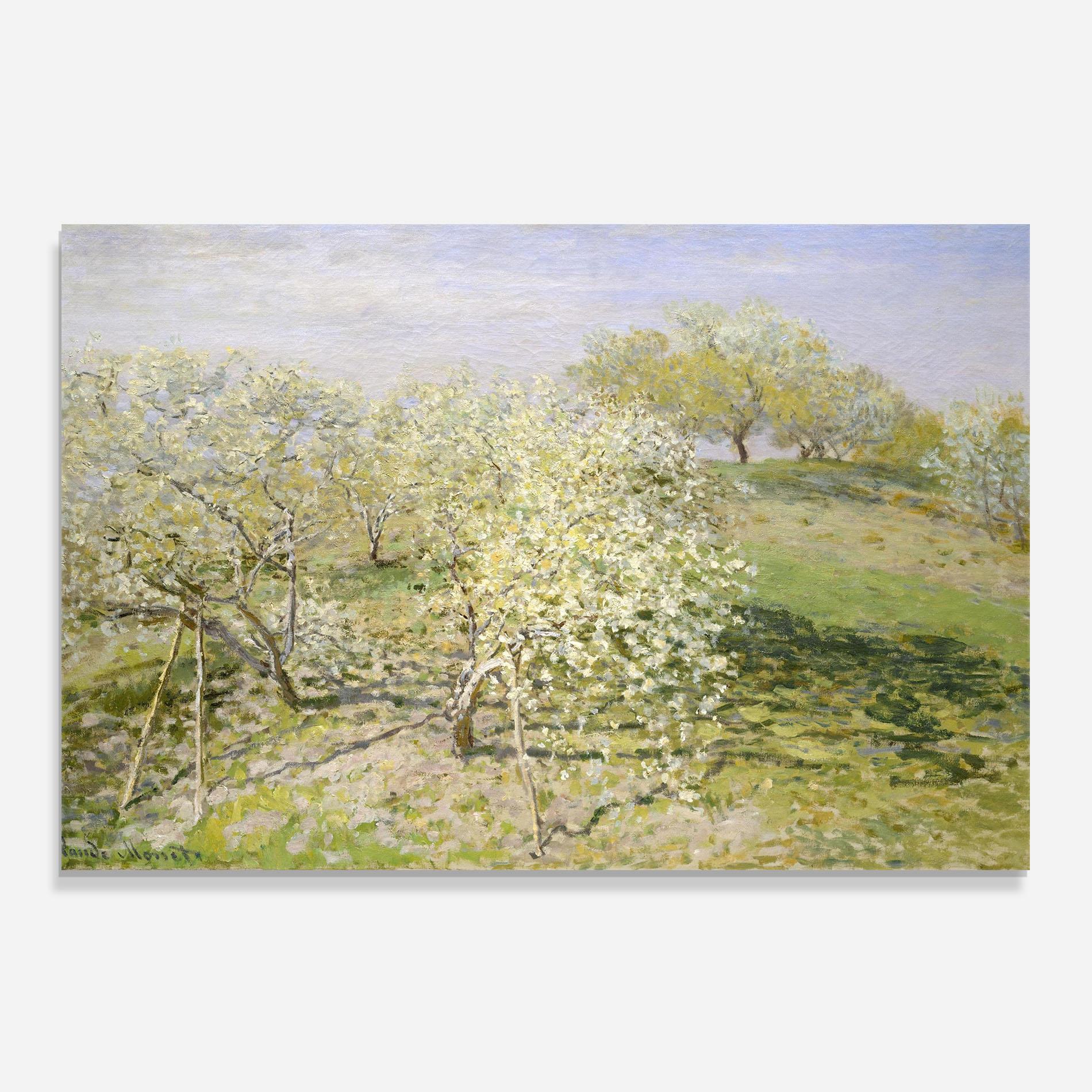 Panou Sticla Bucatarie Fruit Trees In Bloom mockup 0