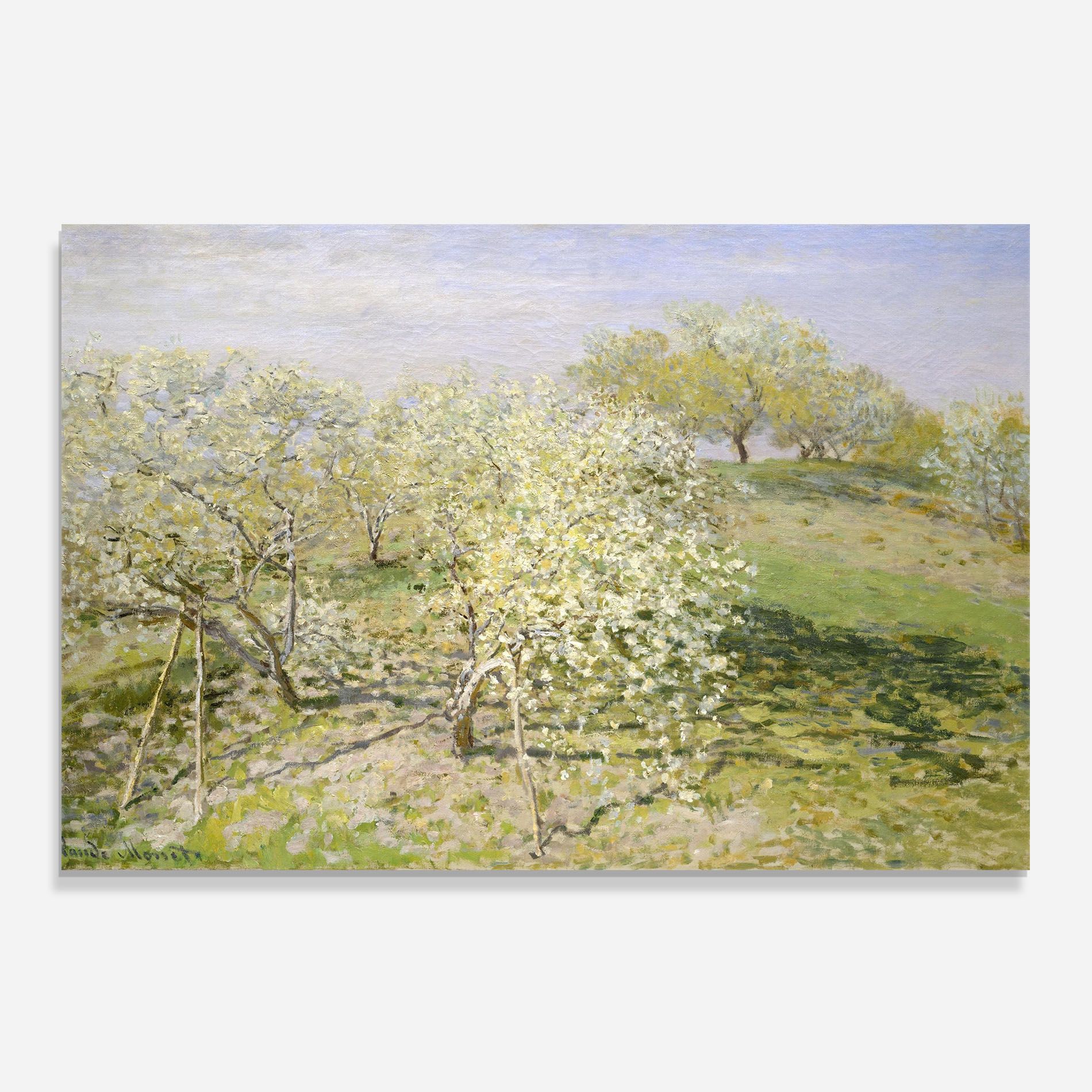 Fruit Trees In Bloom mockup 0